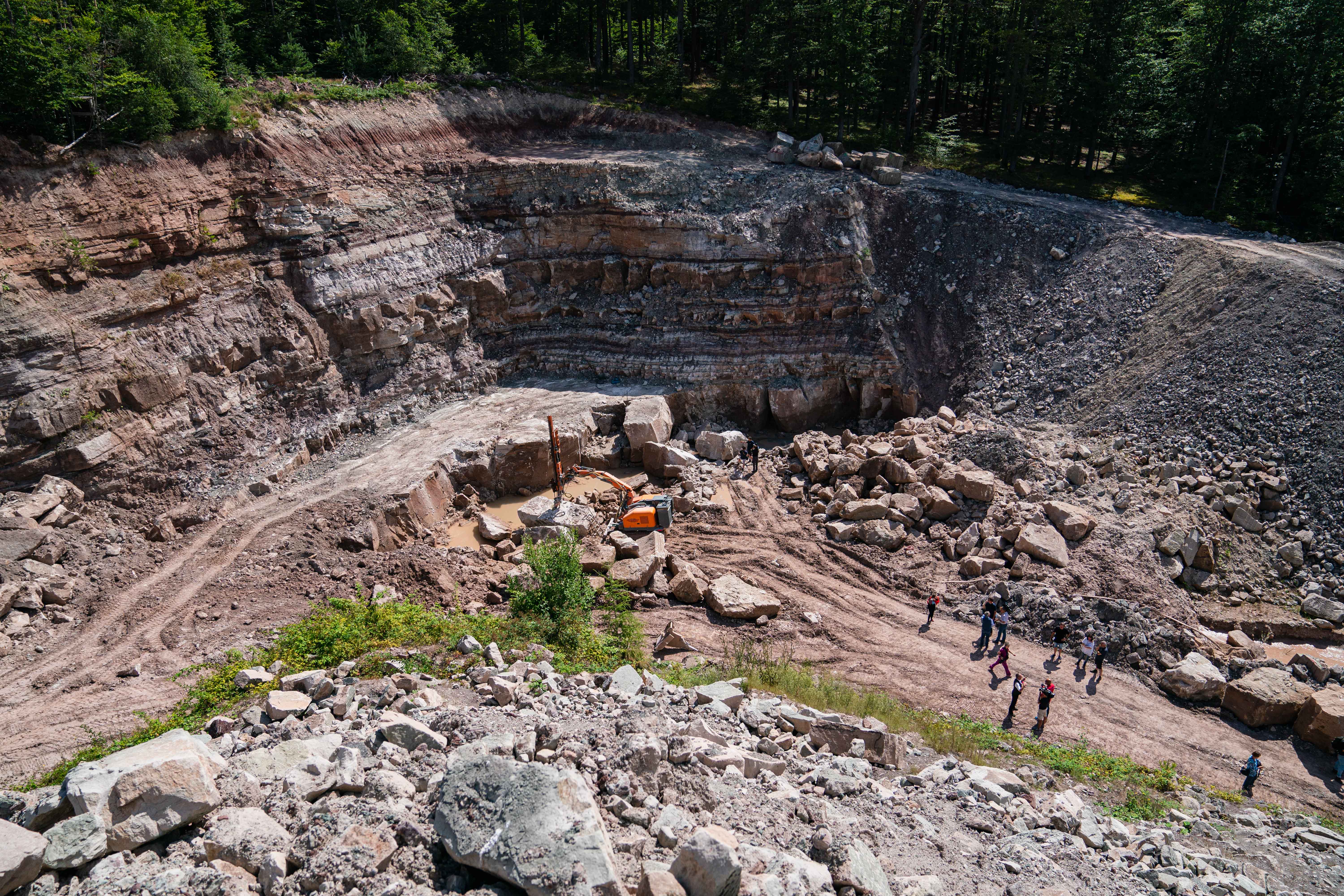 30.07.2021, Bayern, Rauhenebrach: Blick in den Steinbruch, in dem der Unterkiefer eines Cyclotosaurus entdeckt wurde. In einem Steinbruch im Steigerwald ist der Unterkiefer eines ca. 230 Millionen Jahren alten Cyclotosaurus gefunden worden. (Nicolas Armer/dpa)
