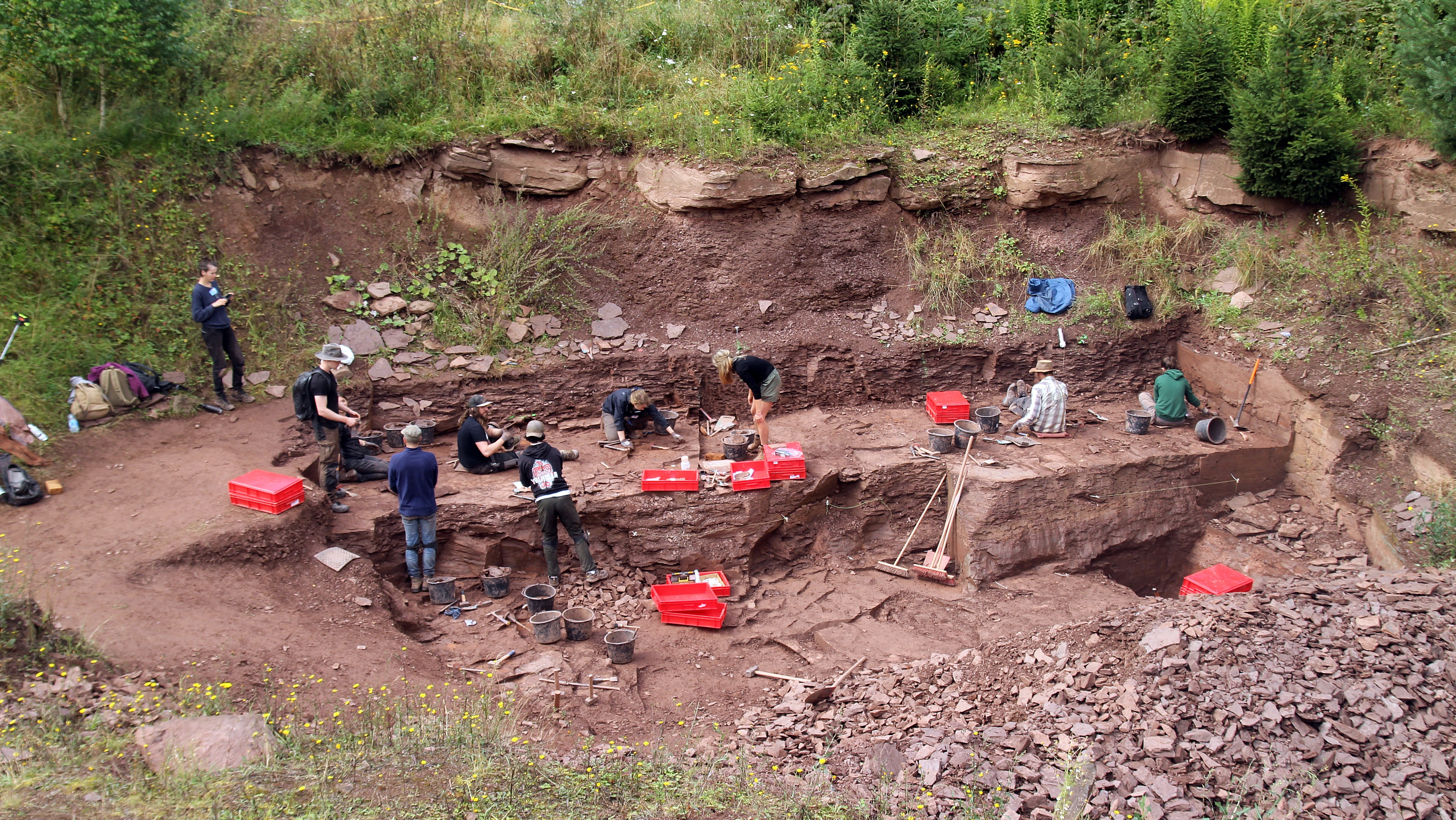 Th&uuml;ringen, Georgenthal: Ein Team aus Pal&auml;ontologen und Geologen gr&auml;bt am Bromacker zwischen Tambach-Dietharz und Georgenthal. Bei den diesj&auml;hrigen Ausgrabungen an der weltweit bedeutsamen Fossillagerst&auml;tte im Th&uuml;ringer Wald haben Forscher eine riesige Menge an Funden gesichert.