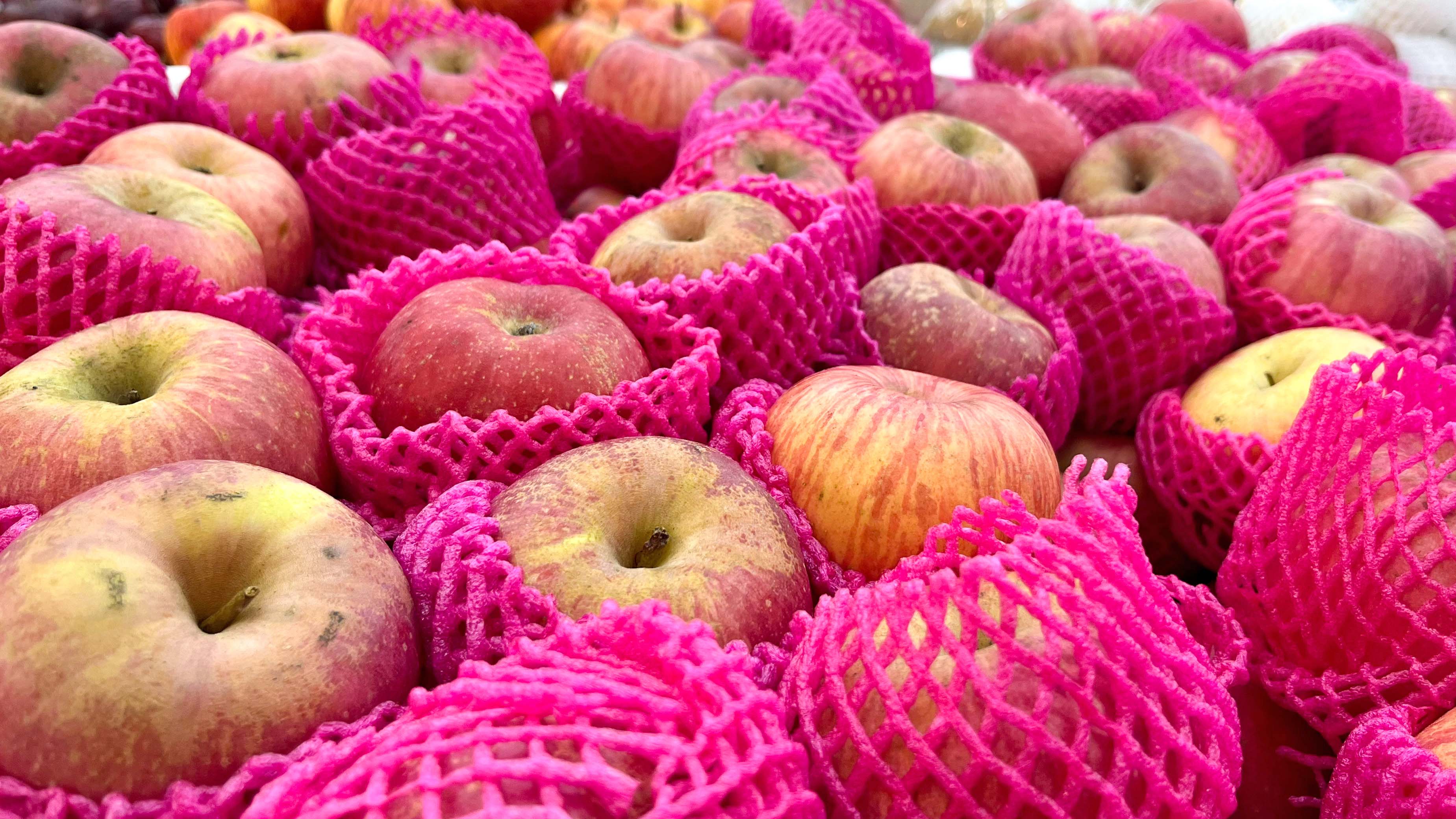 Close-up of a heap of yellow and red colored, wrapped individually in plastic net protectors, adding plastic waste tour environment
