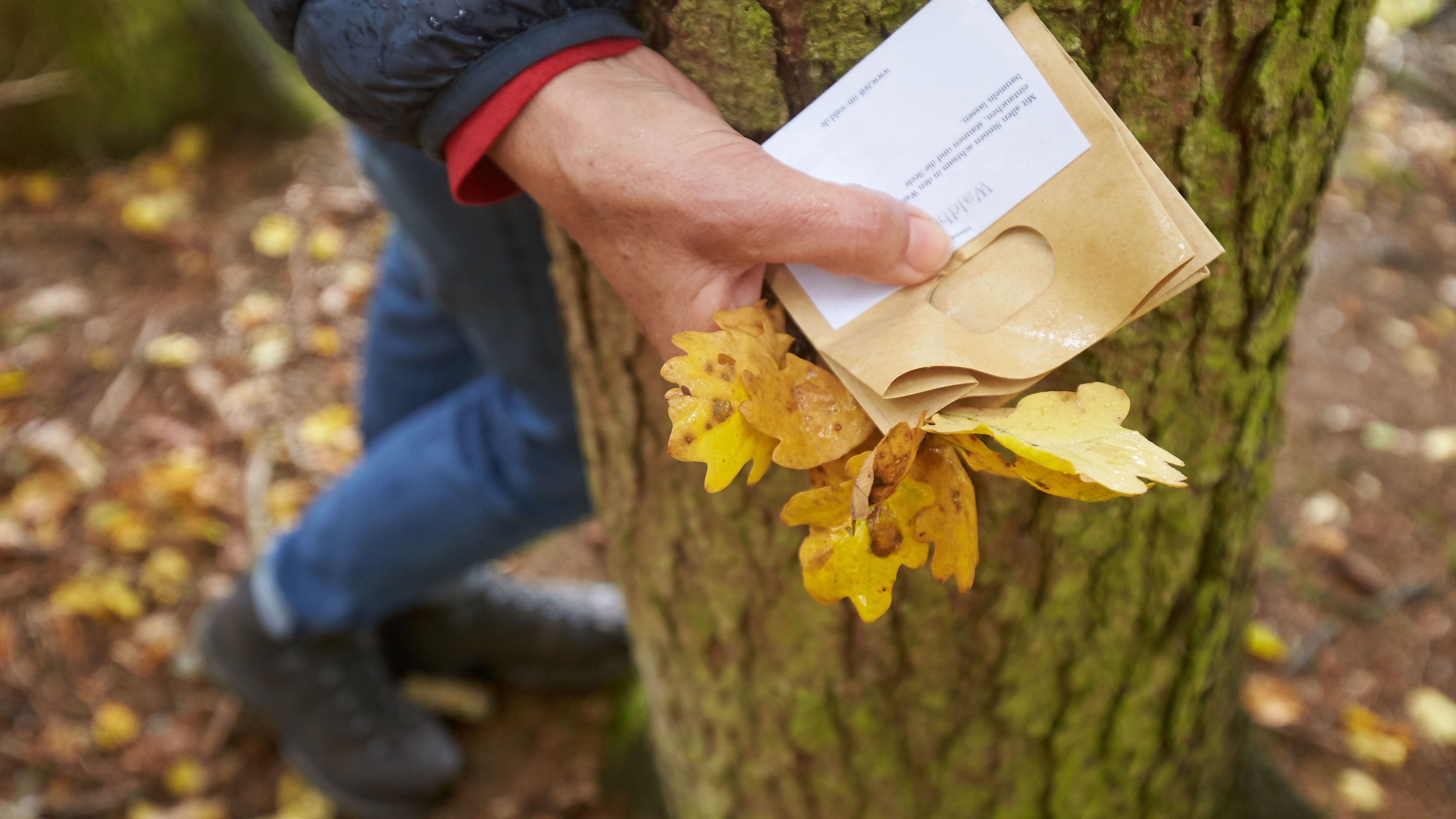 18.10.2019, Rheinland-Pfalz, K&uuml;mbdchen: Eine Teilnehmerin eines Kurses im Waldbaden hat Bl&auml;tter gesammelt. Waldbaden boomt auch in Rheinland-Pfalz. Die Achtsamkeits&uuml;bungen bilden den Unterschied zum klassischen Waldspaziergang. (Zu dpa &laquo;Bl&auml;tter hochwerfen - Waldbaden wird Trend - Heil- und Kurwald geplant&raquo;) Foto: Thomas Frey/dpa +++ dpa-Bildfunk +++