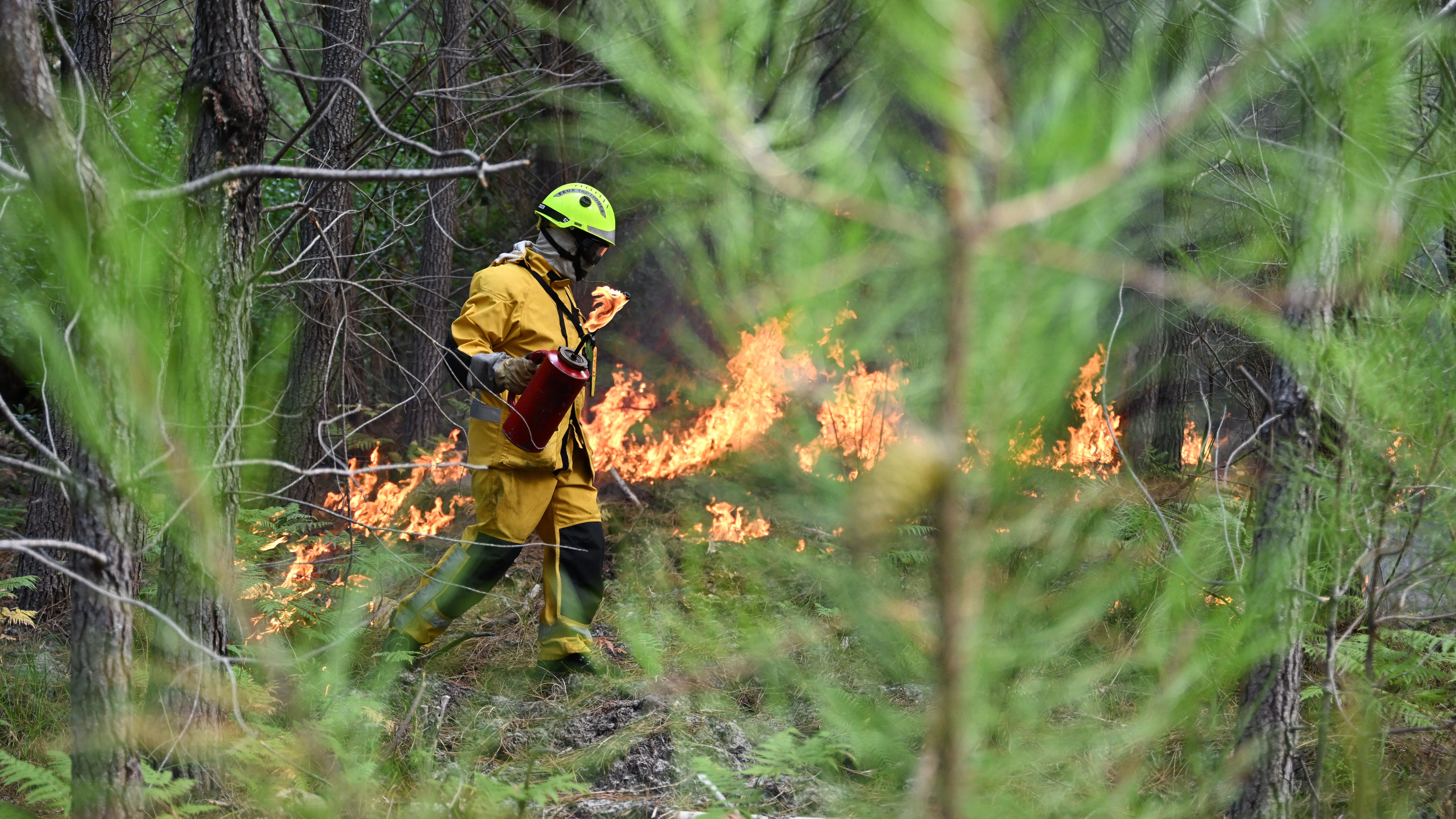 30.07.2026, Frankreich, Lege-Cap-Ferret: Ein Feuerwehrmann legt w&auml;hrend der Waldbr&auml;nde im S&uuml;dwesten Frankreichs in der N&auml;he von Lege-Cap-Ferret ein kontrolliertes Feuer an, um das Brandgebiet einzud&auml;mmen. (Emma Da Silva/AP/dpa)

