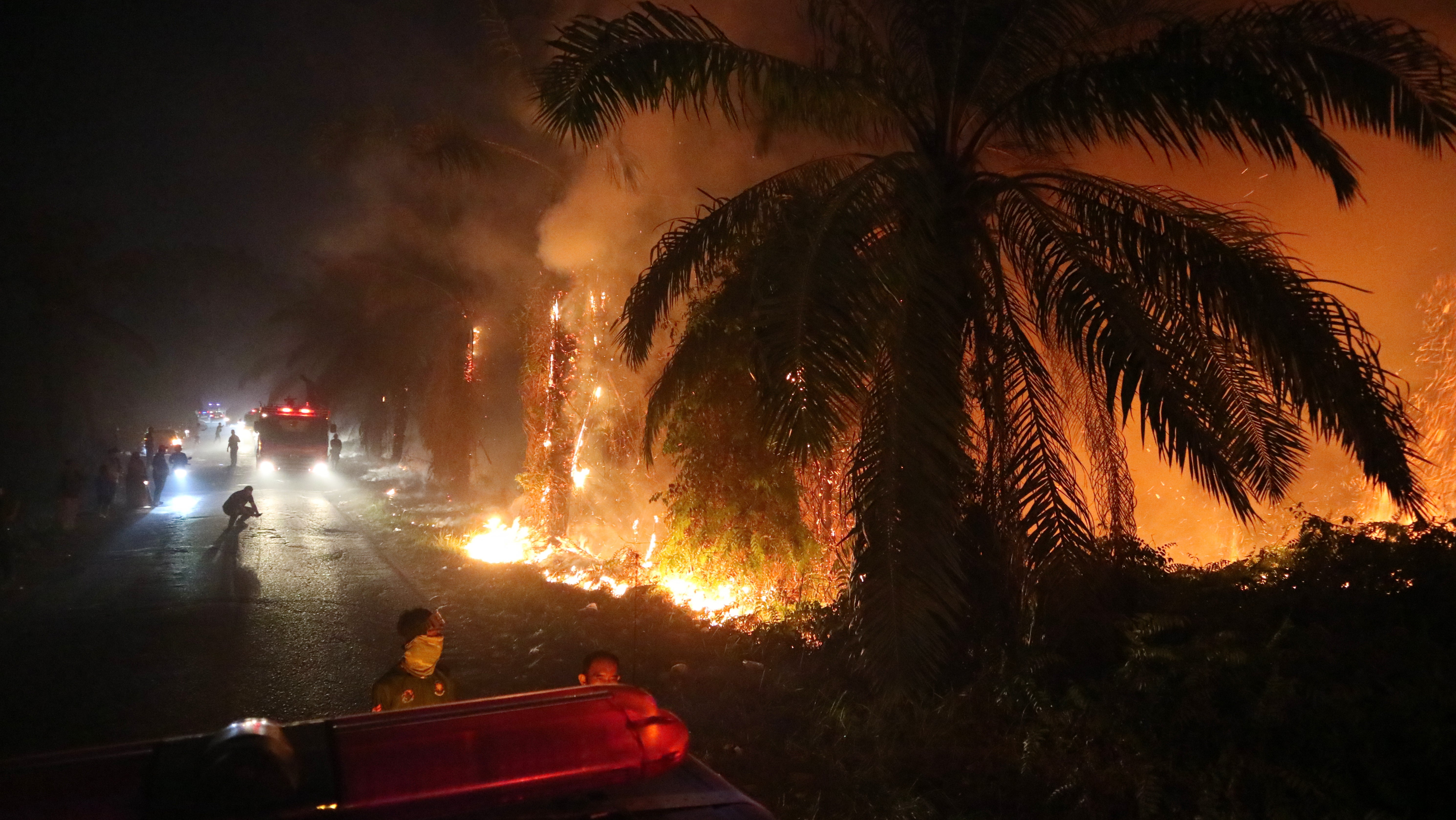 24.08.2026, Indonesien, Sampit: Feuerwehrfahrzeuge, die in der N&auml;he eines Waldbrands geparkt sind, der sich durch ein Torfmoorgebiet in Sampit, Zentralkalimantan, ausbreitet. (Andri Rizky Agustian/AP/dpa)
