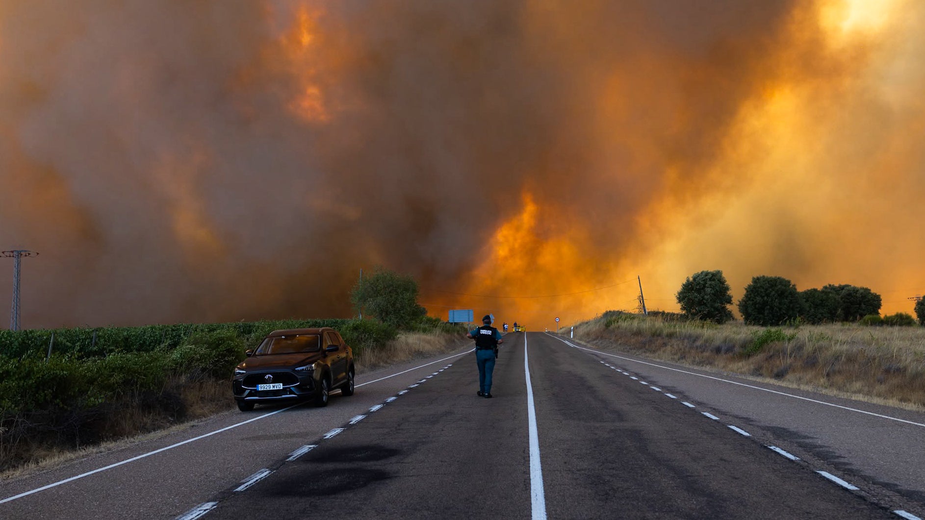 29.07.2026, Spanien, Fermoselle: Dichter Rauch ist w&auml;hrend eines Waldbrandes am Rande einer Landstra&szlig;e zu sehen. Im Naturpark Arribes del Duero in Fermoselle brach gegen 13 Uhr im Gebiet El Pic&oacute;n an den H&auml;ngen des Flusses Tormes ein Waldbrand der Stufe 2 aus. Der Zivilschutz hat eine Abriegelung der Ortschaft Fermoselle und die Evakuierung von Formariz, Fornillos de Fermoselle, Palazuelo de Sayago, Pinilla de Fermoselle und M&aacute;moles angeordnet. (Paloma V. Escarpa/EUROPA PRESS/dpa)

