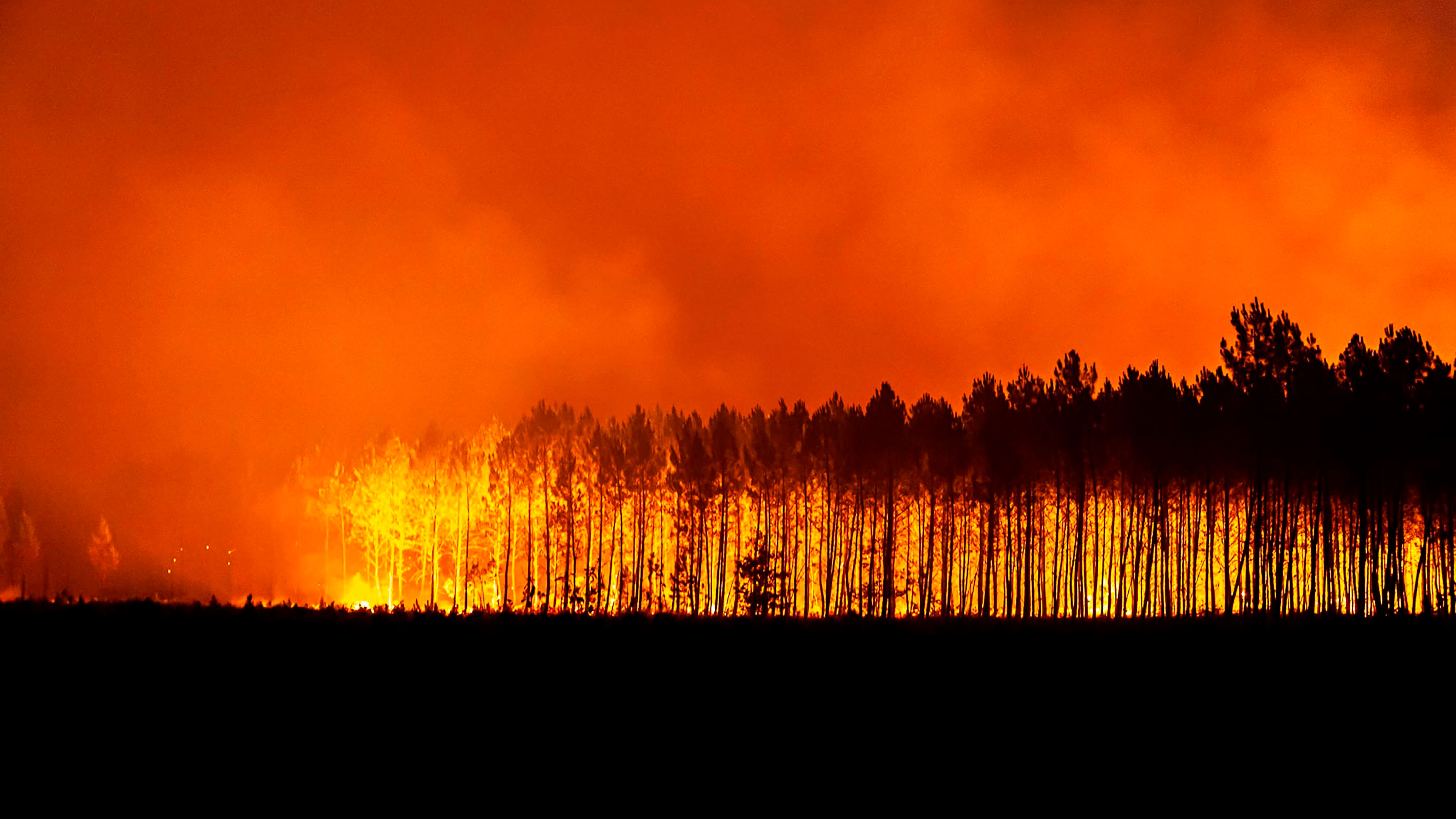 HANDOUT - 12.08.2022, Frankreich, Saint-Magne: Dieses von der Feuerwehr der Region Gironde SDIS 33 (Departementaler Feuerwehr- und Rettungsdienst 33) zur Verf&cedil;gung gestellte Foto zeigt einen Waldbrand in der N&permil;he von Saint-Magne, s&cedil;dlich von Bordeaux. 65 Feuerwehrleute aus NRW haben beim L&circ;schen geholfen und sind nun wieder zu Hause. (zu dpa:&dagger;&acute;Waldbrand-Einsatz in Frankreich:&dagger;Bonner Feuerwehr mit positivem Fazit&ordf;) Foto: Uncredited/SDIS 33/AP/dpa - ACHTUNG: Nur zur redaktionellen Verwendung und nur mit vollst&permil;ndiger Nennung des vorstehenden Credits +++ dpa-Bildfunk +++
