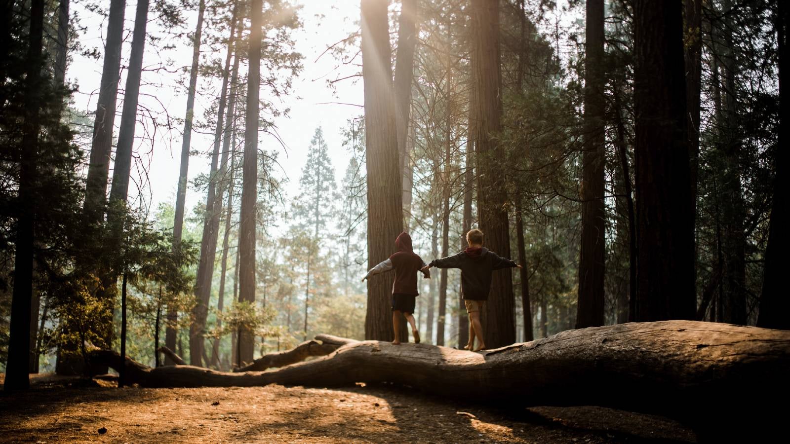 Two boys exploring in Yosemite National Park. 