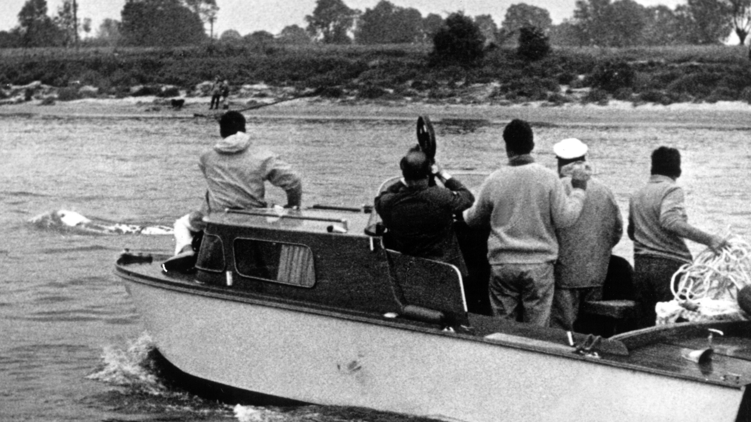 31.05.1966, Nordrhein-Westfalen, Duisburg: Moby Dick schwimmt am 1. Juni 1966 vor der ihn verfolgenden Jacht mit den Wal-J&auml;gern her. (Horst Ossinger/dpa)