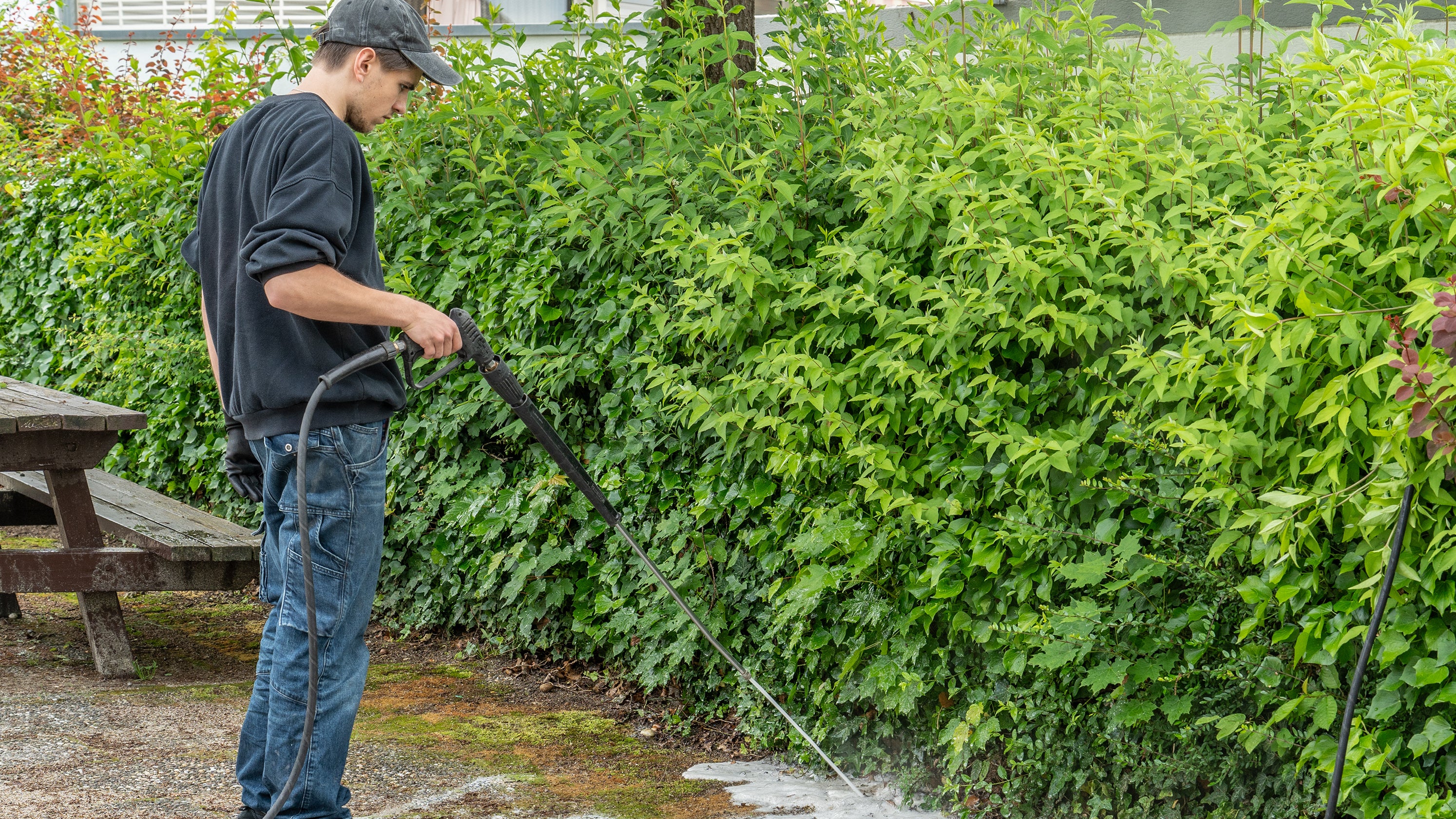 Baden-W&uuml;rttemberg, Kehl: Ein Mann bek&auml;mpft mit einem Spritzger&auml;t invasive Ameisen der Art Tapinoma magnum. (Annette Lipowsky/Stadt Kehl/dpa)
