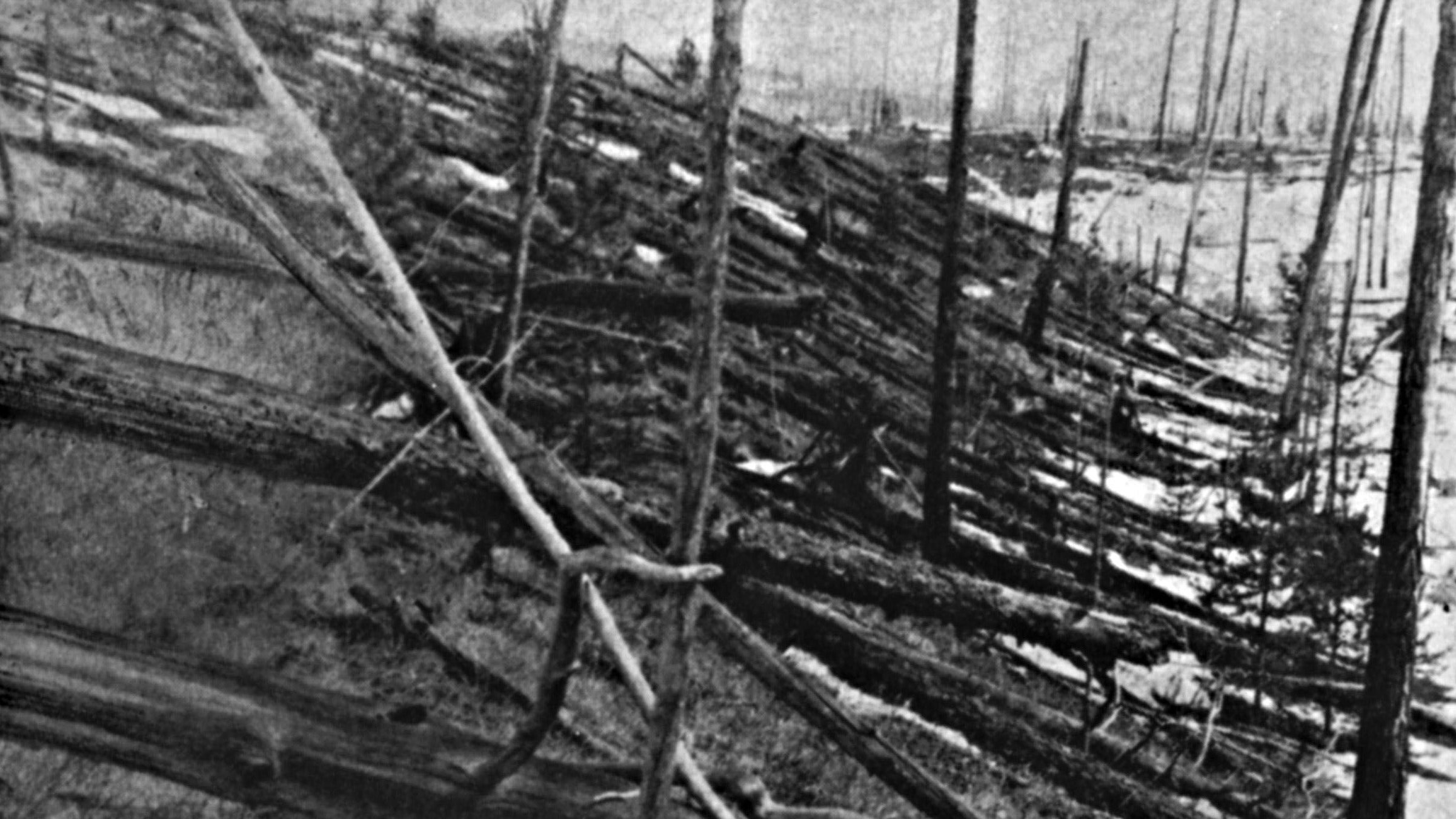 Umgeknickte B&auml;ume bedecken eine Landschaft in Ostsibirien. Seit 100 Jahren r&auml;tselt die Wissenschaft &uuml;ber die gewaltige Explosion, die am 30. Juni 1908 in Sibirien ein Waldgebiet von der Gr&ouml;&szlig;e des Saarlandes vernichtete. Als wahrscheinlich gilt, dass ein Steinmeteorit von vermutlich nur 20 Metern Gr&ouml;&szlig;e in einigen Kilometern H&ouml;he &uuml;ber dem Fluss Steinige Tunguska explodierte. (L. Kulik/Russische Akademie der Wissenschaften/dpa)
