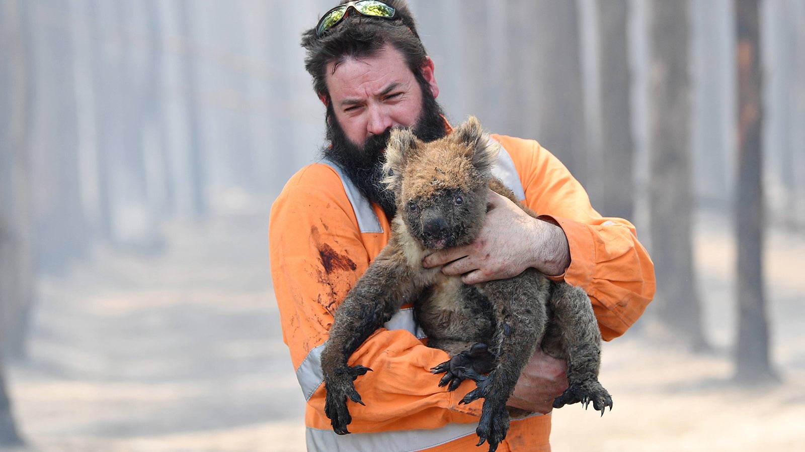  KANGAROO ISLAND BUSHFIRES, Adelaide wildlife rescuer Simon Adamczyk is seen with koala rescued at a burning forest near near Cape Borda on Kangaroo Island, southwest of Adelaide, Tuesday, January 7, 2020. A convoy of Army vehicles, transporting up to 100 Army Reservists and self-sustainment supplies, have arrived on Kangaroo Island as part of Operation Bushfire Assist at the request of the South Australian Government.  ACHTUNG: NUR REDAKTIONELLE NUTZUNG, KEINE ARCHIVIERUNG UND KEINE BUCHNUTZUNG ADELAIDE SA AUSTRALIA PUBLICATIONxINxGERxSUIxAUTxONLY Copyright: xDAVIDxMARIUZx 20200107001440807357