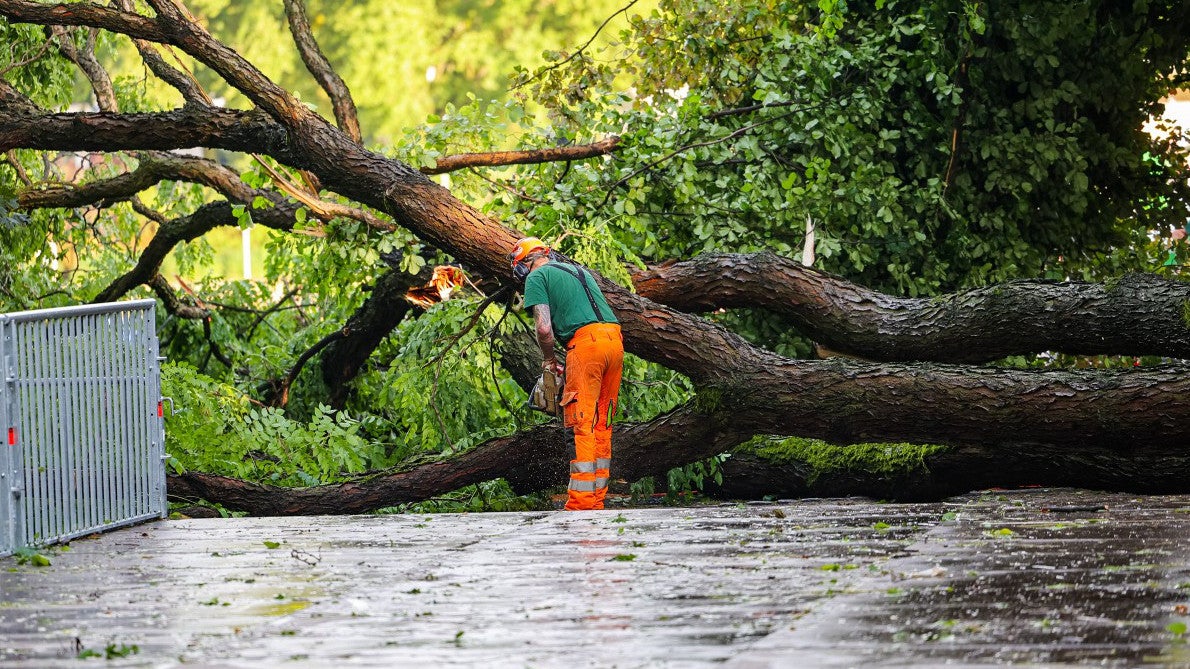 21.06.2024, Hessen, Frankfurt/Main: Ein Helfer zers&auml;gt einen Baum, der bei einem Unwetter in der Mainmetropole umgest&uuml;rzt ist. Ein Abschnitt der Frankfurter Fu&szlig;ball-EM-Fanzone am Mainufer ist am Freitagabend nach einem Gewitter vor&uuml;bergehend geschlossen worden. Es sei ein Baum im Public-Viewing-Bereich umgefallen, sagte ein Polizeisprecher. Die Feuerwehr sei mit den Aufr&auml;umarbeiten besch&auml;ftigt. (-/5Vision.News/dpa)
