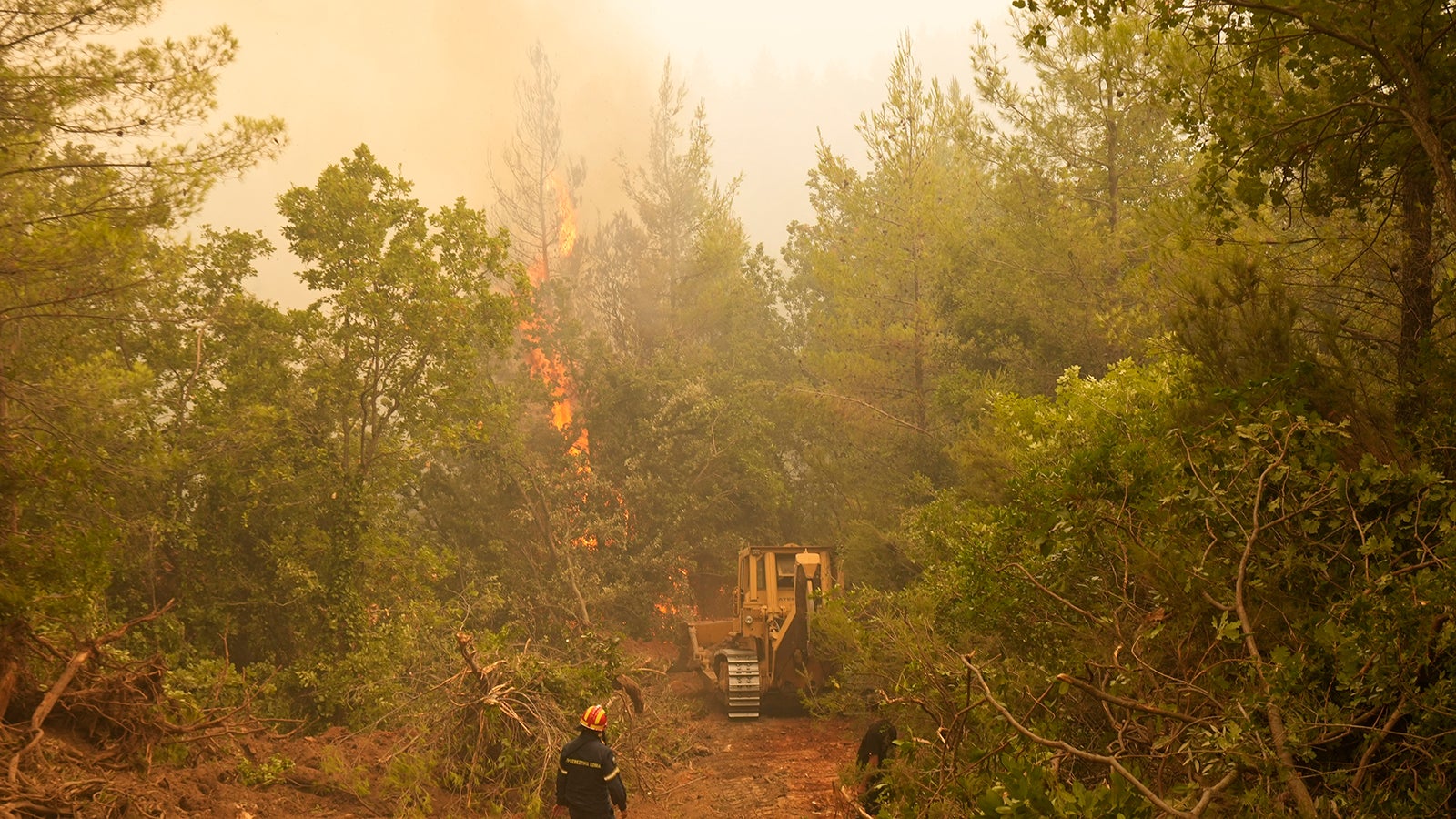10.08.2021, Griechenland, Eub&ouml;a: Ein Bulldozer &ouml;ffnet w&auml;hrend eines Waldbrandes im Dorf Kamaria auf der Insel Eub&ouml;a eine Brandschneise. Feuerwehrleute, Freiwillige und Anwohner k&auml;mpften den achten Tag in Folge gegen die massiven Waldbr&auml;nde auf Griechenlands zweitgr&ouml;&szlig;ter Insel, w&auml;hrend das Land &laquo;eine Naturkatastrophe von noch nie dagewesenem Ausma&szlig;&raquo; erlebte, wie der Premierminister sagte. Foto: Petros Karadjias/AP/dpa +++ dpa-Bildfunk +++