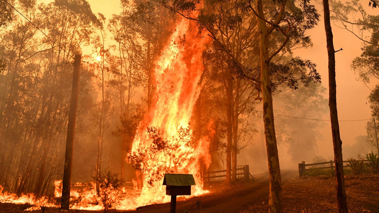 Studie Australiens Brandkatastrophe Hat Dramatische Folgen Fur Tiere The Weather Channel Artikel Von The Weather Channel Weather Com