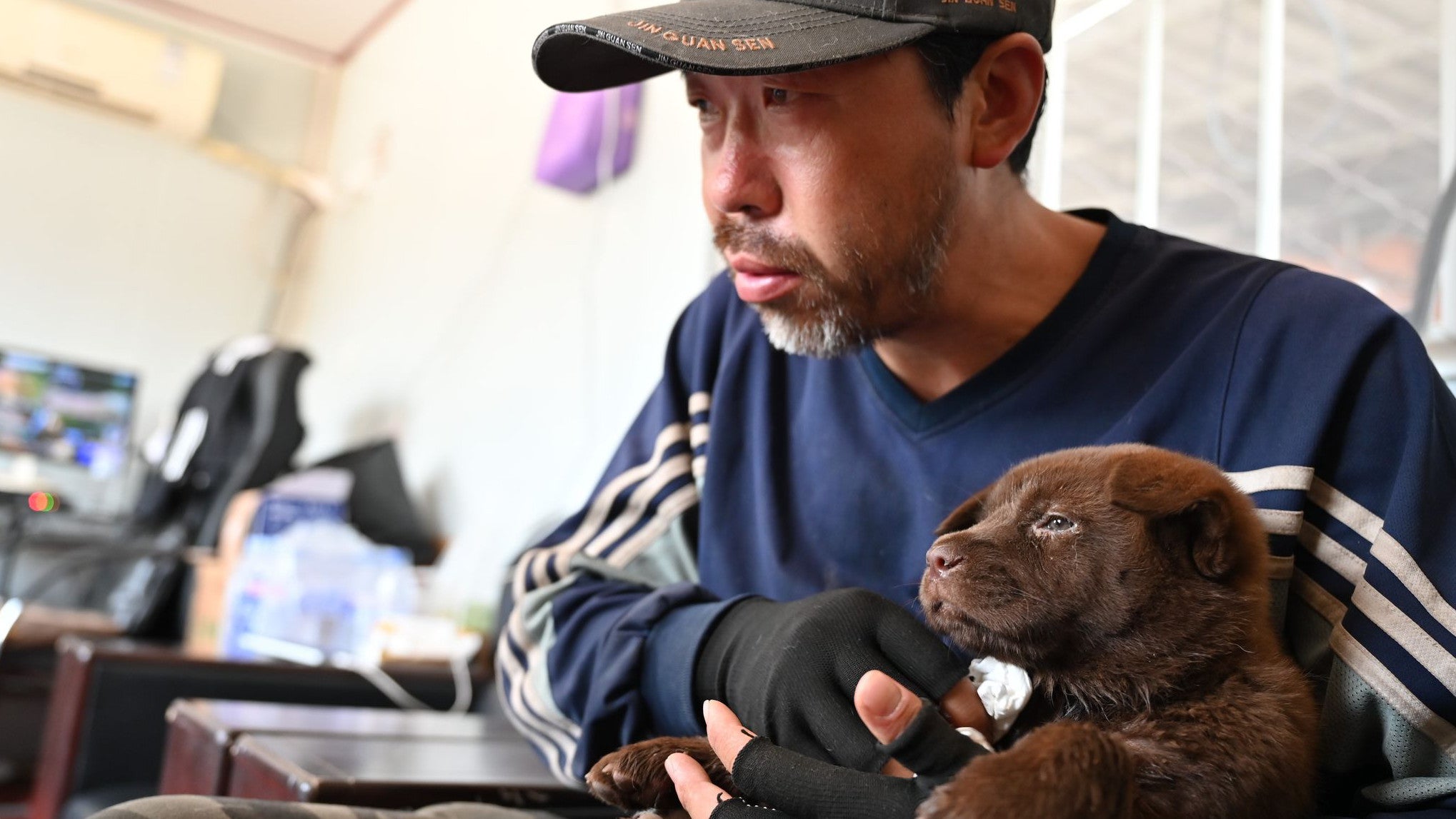 02.07.2025, China, Pingquan: Huzi, ein Hunderetter auf Pingquan, verarztet einen braunen Welpen. In China halten sich immer mehr Menschen Hunde und Katzen, doch manche Tiere werden von ihren Besitzern wieder ausgesetzt. Auf Huzis Hof leben rund 100 Hunde, die der Chinese dort aufgenommen hat oder die dort geboren wurden. (Johannes Neudecker/dpa)