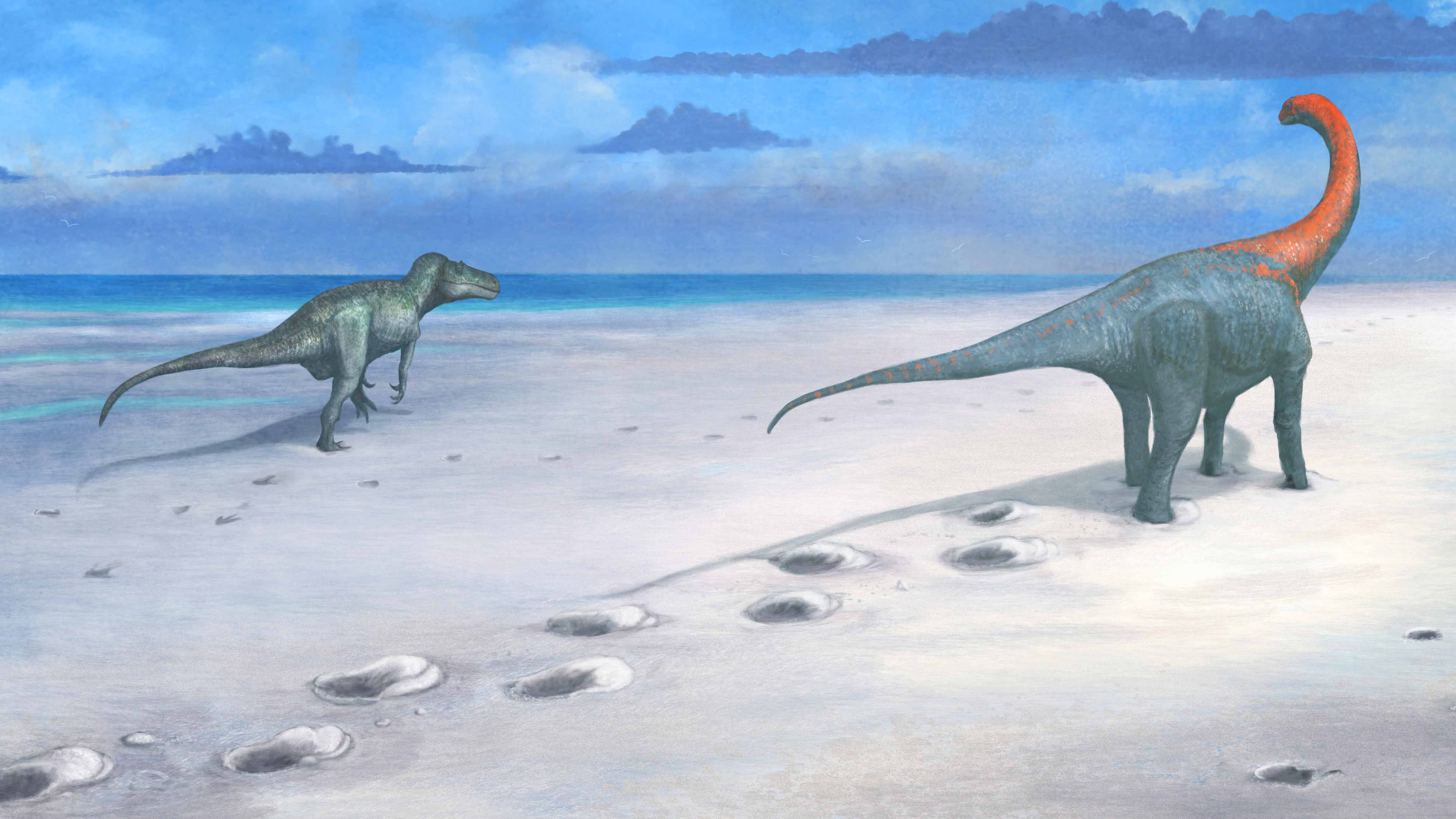 HANDOUT - 02.01.2025, Groﬂbritannien, Grafschaft Oxfordshire: Das undatierte Handout der Universit&permil;t Birmingham zeigt, wie der Megalosaurus und der Cetiosaurus die unter Schlamm begrabenen Fuﬂabdr&cedil;cke im Steinbruch Dewars Farm in Oxfordshire hinterlassen haben k&circ;nnten.  Forscher haben rund 200 Fuﬂstapfen von Dinosauriern entdeckt. Die Spuren seien rund 166 Millionen Jahre alt und bildeten einen langen &acute;Dinsoaurier Highway&ordf;, teilten die Universit&permil;ten in Oxford und Birmingham mit. Foto: Mark Witton/University Of Birmingham/PA Media/dpa - ACHTUNG: Nur zur redaktionellen Verwendung im Zusammenhang mit der aktuellen Berichterstattung und nur mit vollst&permil;ndiger Nennung des vorstehenden Credits +++ dpa-Bildfunk +++