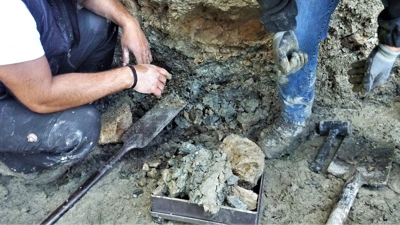 HANDOUT - 18.02.2022, Bad Reichenhall: Experten des Landesamt f&uuml;r Umwelt, Roland Eichhorn und Thomas Viertler, entnehmen im Lattengebirge bei Bad Reichenhall Proben der Gesteinsschicht. In den Schichten sind St&auml;ube aus einem Asteroideneinschlag sowie dar&uuml;ber Asche aus massiven Vulkanausbr&uuml;chen konserviert. Beide Ereignisse gelten als Ursache des Massensterbens vieler Tierarten und auch der Dinosaurier. (zu dpa: &laquo;Fund in Bayern bringt Erkenntnisse zum Aussterben der Dinos&raquo;) Foto: Ulrich Teipel/Lfu/dpa - ACHTUNG: Nur zur redaktionellen Verwendung im Zusammenhang mit einer Berichterstattungund nur mit vollst&auml;ndiger Nennung des vorstehenden Credits +++ dpa-Bildfunk +++