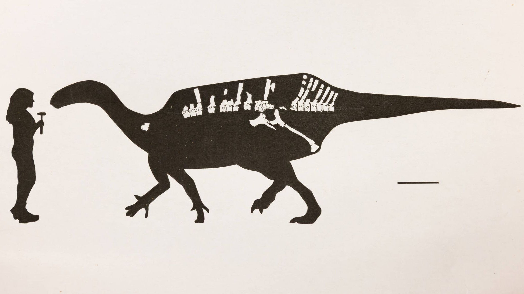 ACHTUNG: Nur zur redaktionellen Verwendung im Zusammenhang mit der aktuellen Berichterstattung und nur mit vollst&auml;ndiger Nennung des vorstehenden Credits

24.08.2025, Gro&szlig;britannien: Darstellung von Istiorachis macaruthurae im Vergleich zum Menschen. (James Brown/University of Portsmouth/dpa)