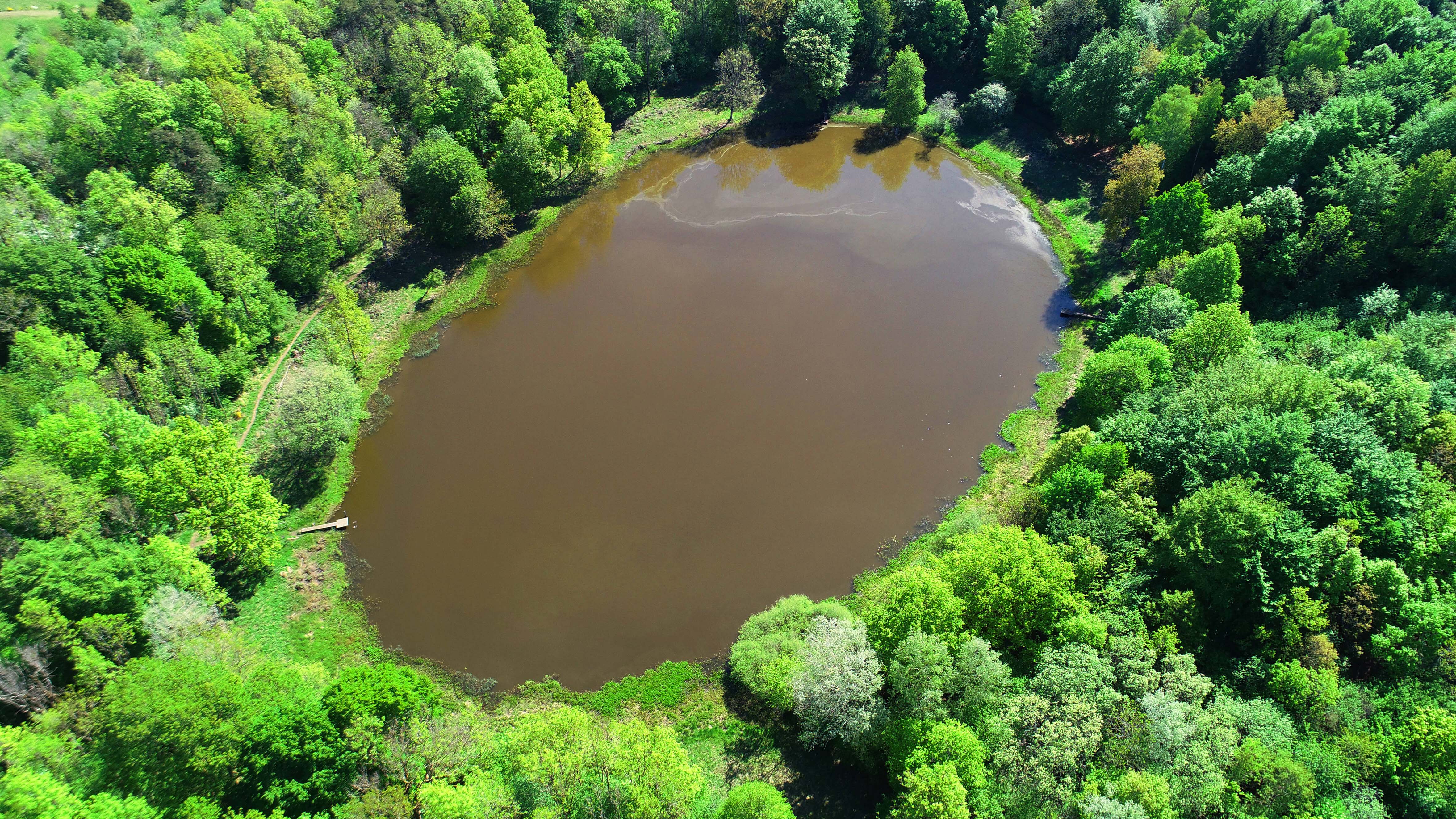Deutschland, Bettenfeld, 07.05.2020 Maare sind das Markenzeichen der Vulkaneifel. 75 Maare sind wissenschaftlich nachgewiesen und zw&circ;lf von ihnen bis heute st&permil;ndig mit Wasser gef&cedil;llt. Die Maarseen sind als Augen der Eifel bekannt, denn sie sind oft kreisrund und das Wasser leuchtet blau. Foto: der Windsborn ist ein echter Kratersee und geh&circ;rt zur Mosenberg-Vulkangruppe. Der Windsborn ist nur 1,70 m tief und besitzt keinen Zu- und Abfluss. Maare in der Vulkaneifel *** Germany, Bettenfeld, 07 05 2020 Maars are the trademark of the Volcanic Eifel 75 maars have been scientifically proven and twelve of them are still constantly filled with water today The Maar lakes are known as the eyes of the Eifel, because they are often circular and the water shines blue Photo the Windsborn is a real crater lake and belongs to the Mosenberg vo