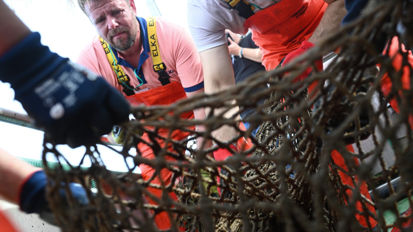 15.09.2026, Niedersachsen, Neuharlingersiel: St&uuml;ck f&uuml;r St&uuml;ck suchen die Deckkr&auml;fte die Netze nach Meerestieren ab. Das Team von Ghost Diving Germany hat vor den Ostfriesischen-Inseln Geisternetze geborgen. Foto: Lars Penning/dpa
