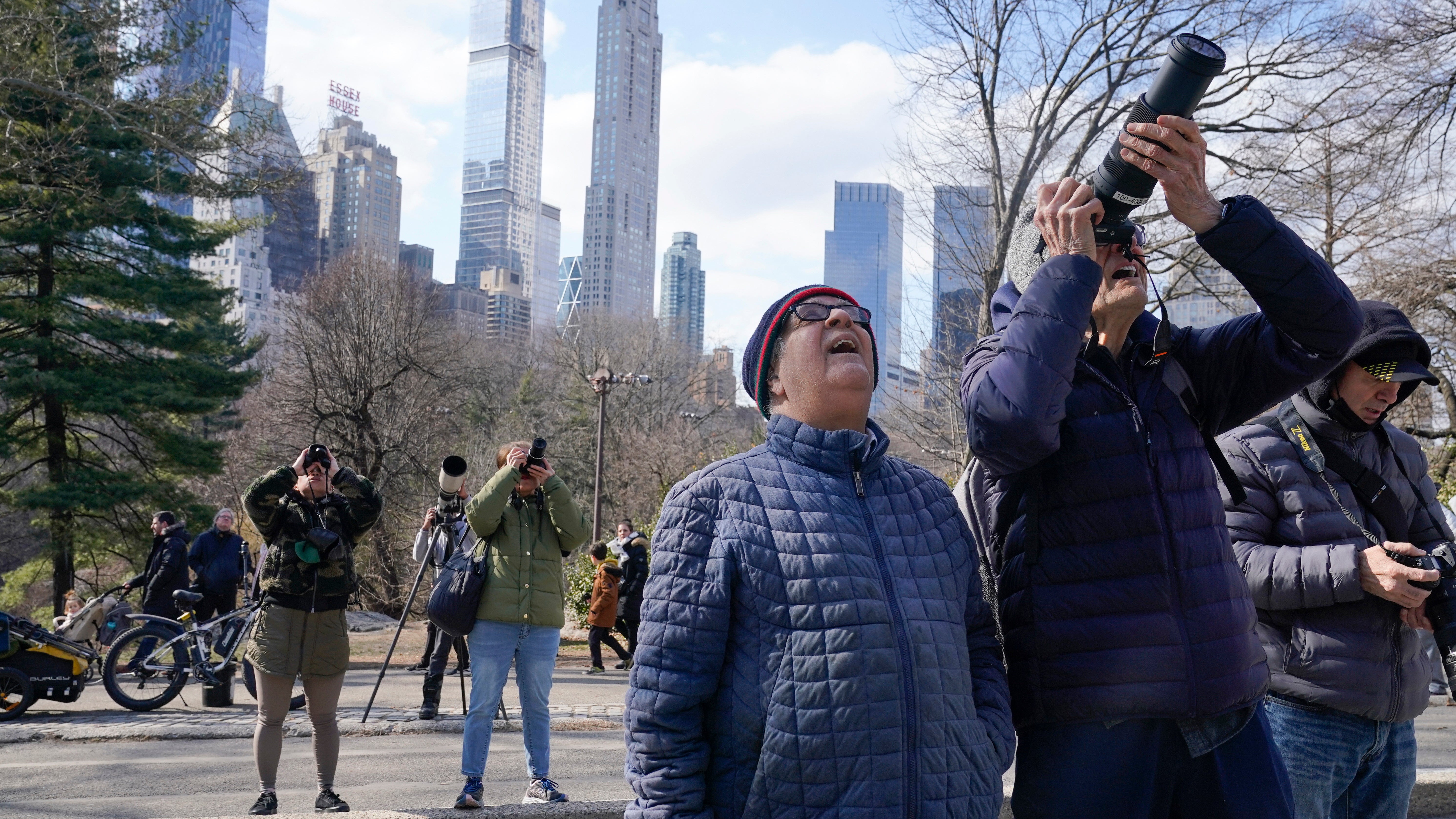 Eine Menschenmenge versammelt sich im Central Park, um Uhu Flaco am 6. Februar 2023 in New York zu betrachten. (AP Photo/Seth Wenig)