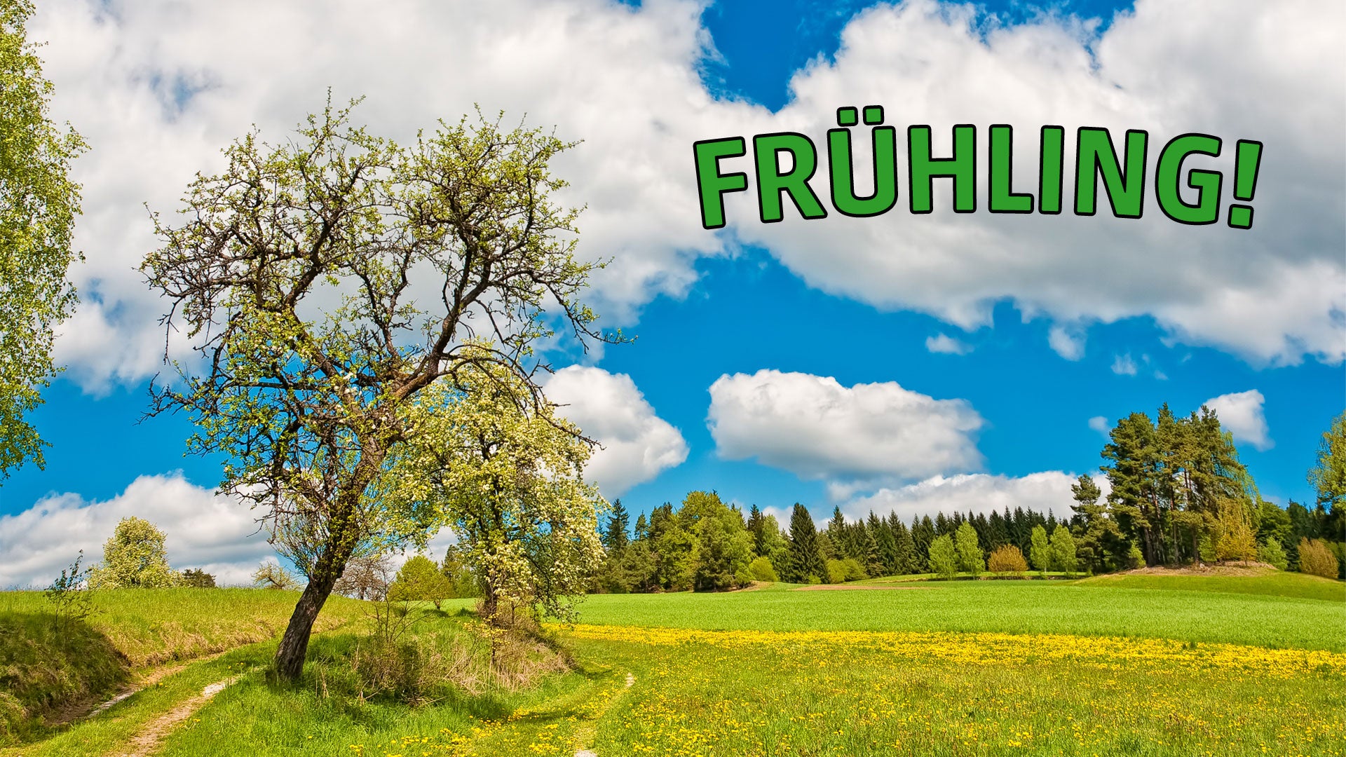 Der große Wochenausblick Freude über Frühling hält nicht lange The
