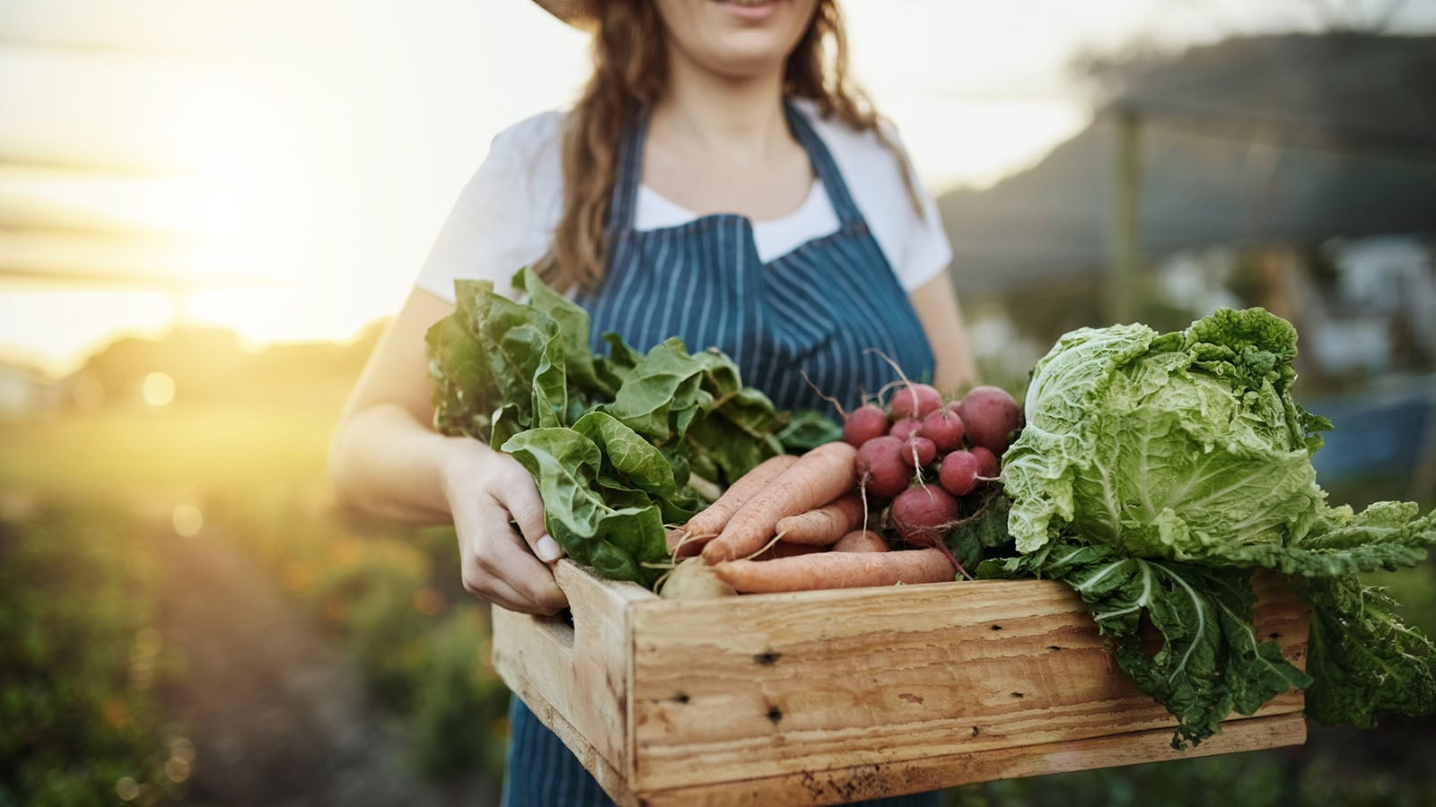 Kohlrabi- und Salatsetzlinge k&ouml;nnen auch schon vor den Eisheiligen gepflanzt werden. Foto: GettyImages