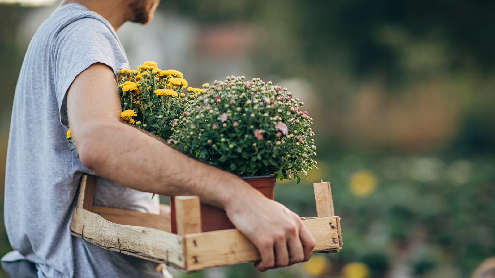 Nach der hei&szlig;en Jahreszeit braucht der Garten besondere Pflege. Foto: GettyImages
