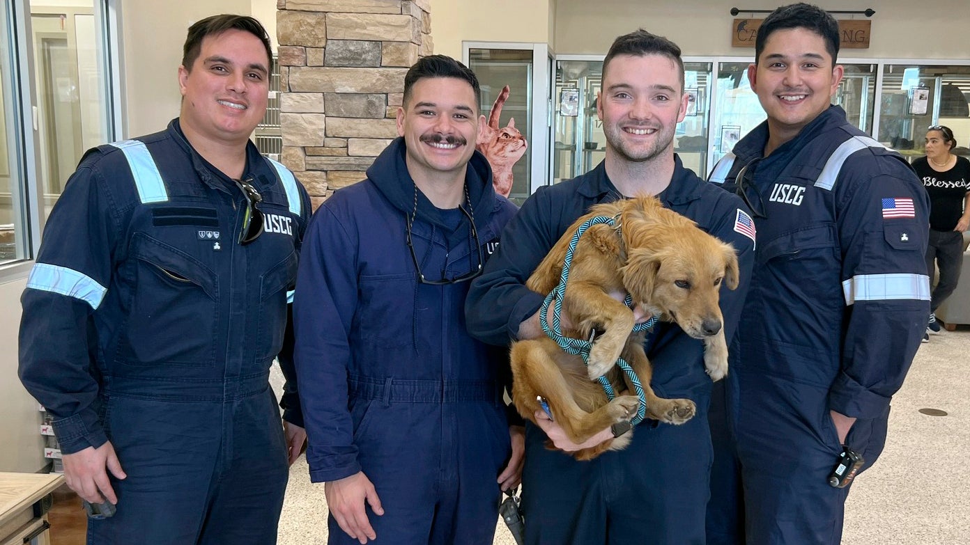 Dieses von der US-K&uuml;stenwache ver&ouml;ffentlichte Bild zeigt Connie, den Containerhund mit den vier Schifffahrtsinspektoren die ihn im Hafen von Houston fanden. (Petty Officer 1st Class Lucas Loe/U.S. Coast Guard via AP)