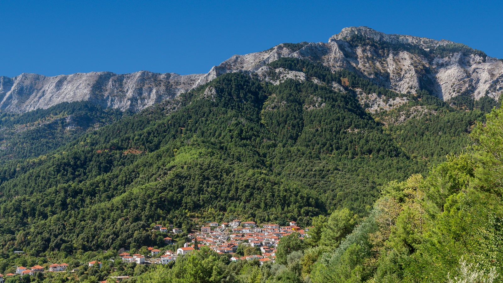 Thasos or Thassos is a Greek island in the northern Aegean Sea, close to the coast of Thrace and the plain of the river Nestos. It is the northernmost Greek island, and 12th largest by area. Thasos is also the name of the largest town of the island (also known as Limenas Thasou, "Harbour of Thasos"), situated at the northern side, opposite the mainland and about 10 kilometres from Keramoti. The most important economic activity is tourism. The main agricultural products on the island are honey, olives (famously Throuba olives) and olive oil, as well as wine, sheep, goat herding and fishing.