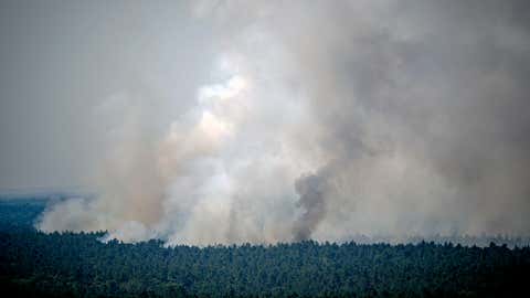 04.08.2022, Berlin: Rauch steigt bei einem Brand im Grunewald auf. Wegen eines Brandes im Grunewald wurde die Avus und der angrenzende S-Bahn-Verkehr gesperrt. Im Berliner Grunewald ist nach einer unbeabsichtigten Explosion auf dem dortigen Sprengplatz am Donnerstagmorgen ein Feuer ausgebrochen und hat den angrenzenden Wald in Brand gesetzt. Foto: Kay Nietfeld/dpa +++ dpa-Bildfunk +++