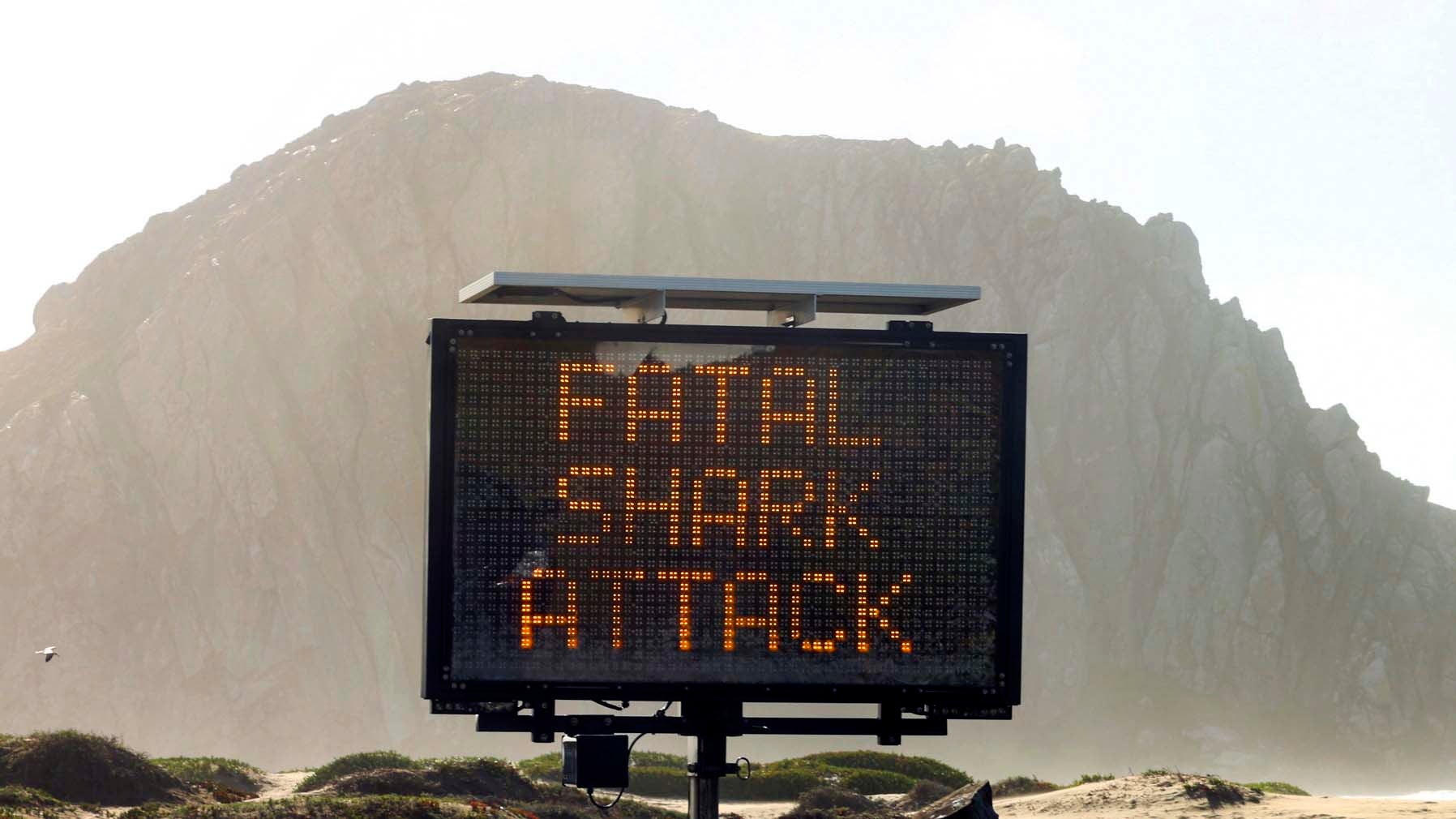 24.12.2021, USA, Morro Bay: Ein Schild weist auf einen Haiangriff in Morro Bay, Kalifornien, hin. Ein Surfer wurde an Heiligabend vor der kalifornischen K&cedil;ste bei einem Haiangriff get&circ;tet, wie die Beh&circ;rden mitteilten. Foto: David Middlecamp/The Tribune (of San Luis Obispo) via AP/dpa - ACHTUNG: Nur zur redaktionellen Verwendung und nur mit vollst&permil;ndiger Nennung des vorstehenden Credits +++ dpa-Bildfunk +++