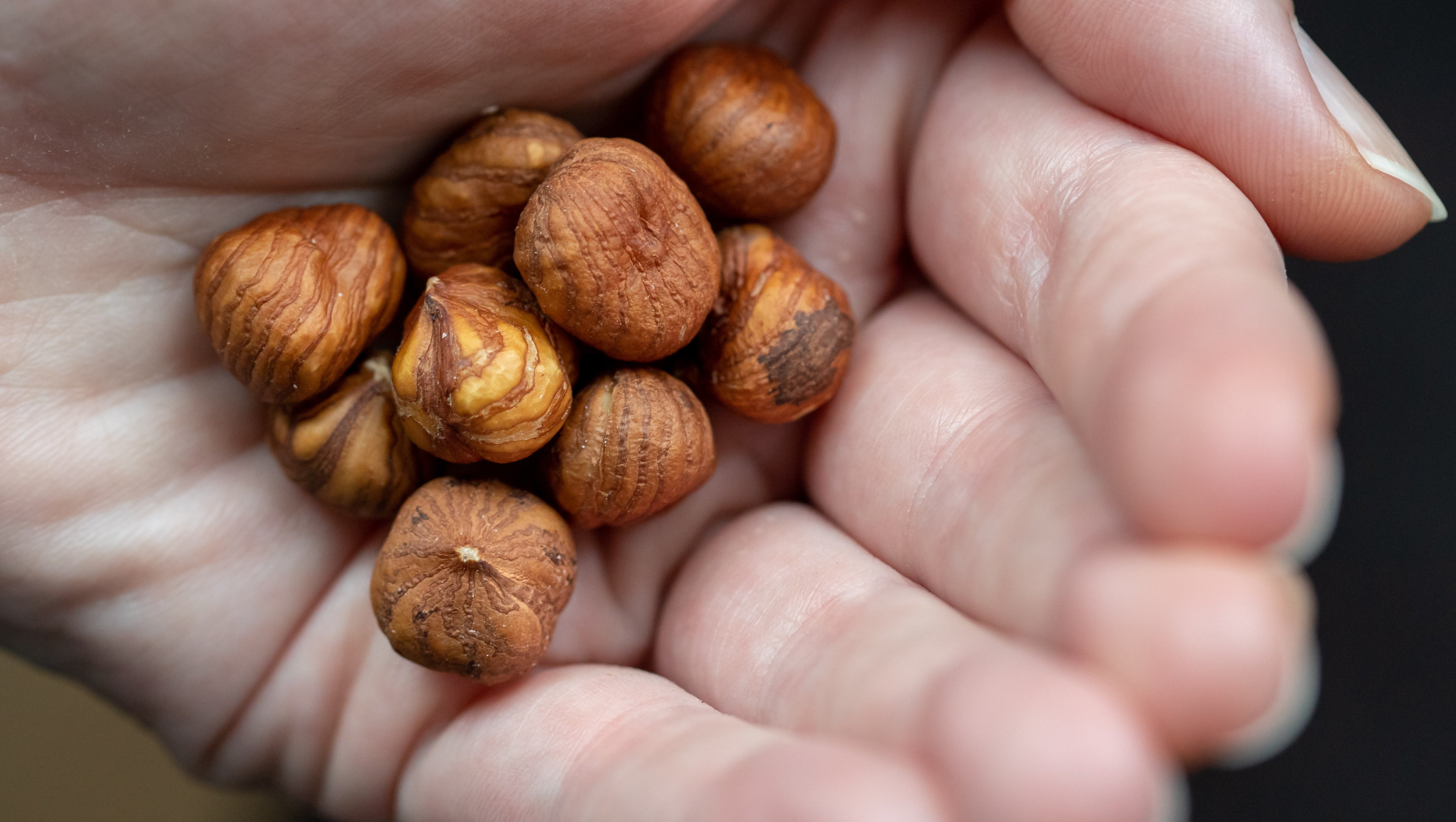 Haseln&uuml;sse in einer Hand. Haseln&uuml;sse gibts nat&uuml;rlich auch im Herbst (Daniel Karmann/dpa/dpa-tmn)


