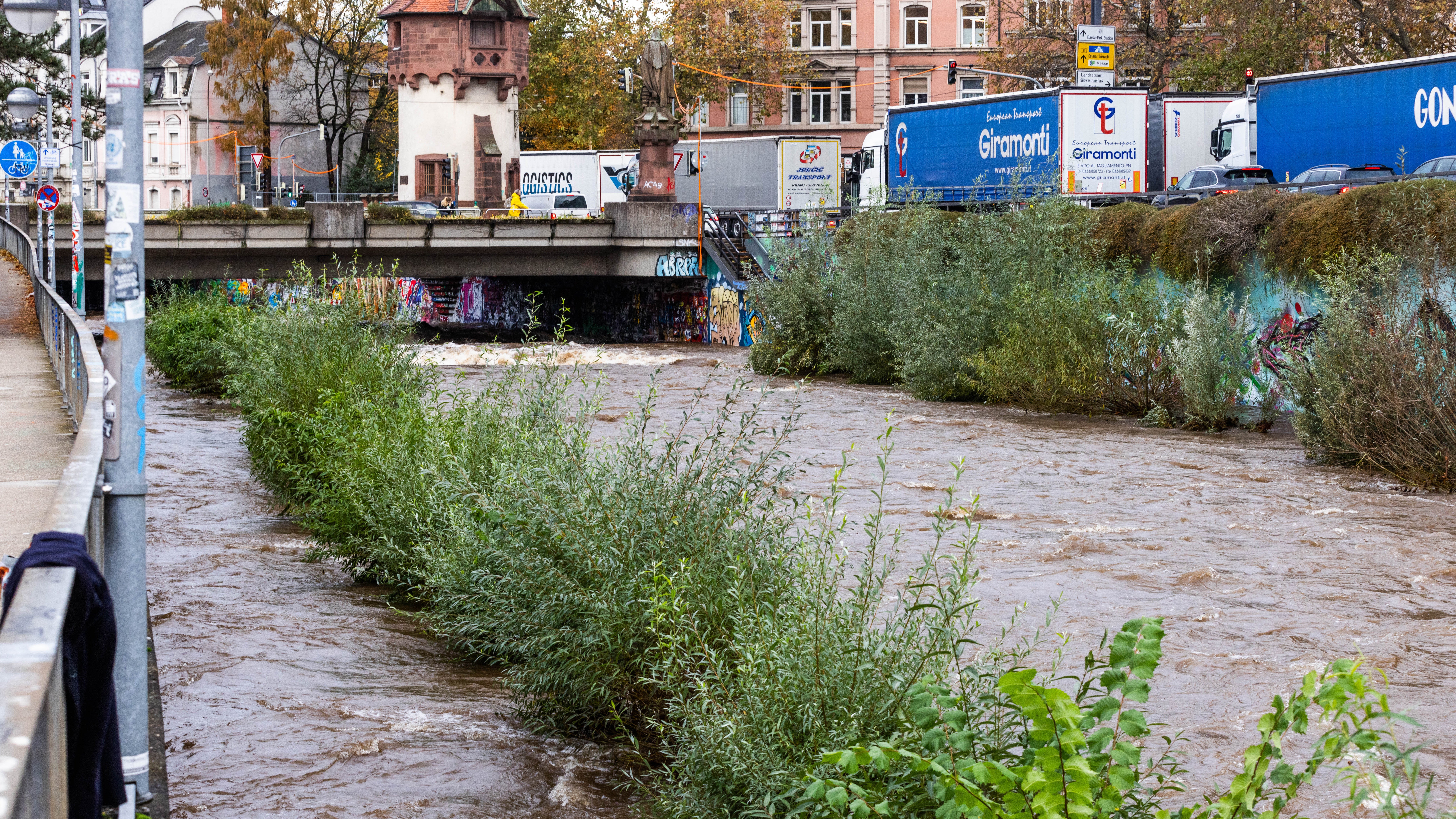 Baden-W&uuml;rttemberg, Freiburg im Breisgau: Hochwasser der Dreisam &uuml;berschwemmt einen Radweg (links zwischen B&uuml;schen und Mauer) in Freiburg. Ergiebiger Dauerregen hat in der Nacht zu einem massiven Anstieg des Pegels der Dreisam gef&uuml;hrt. (dpa)

