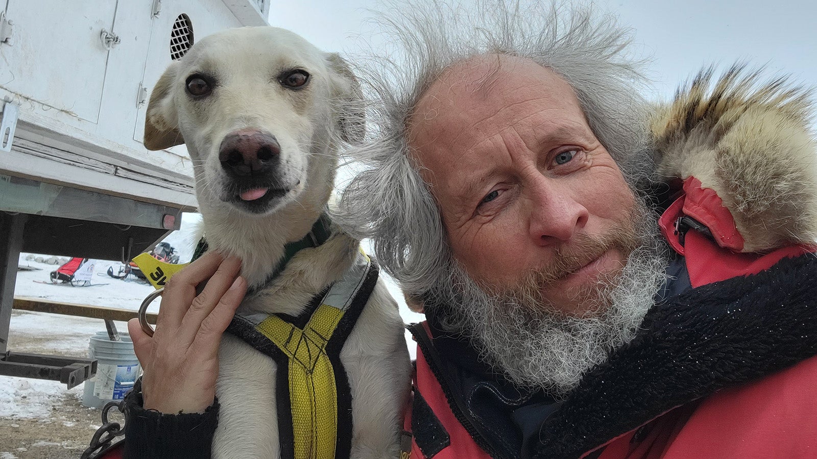 HANDOUT - 31.01.2022, USA, ---: Sebastian Schn&uuml;lle (51) mit einem Schlittenhund bei einem Schlittenhunderennen im US-Bundesstaat Wyoming. Der geb&uuml;rtige Wuppertaler Schn&uuml;lle lebt seit 1996 in Kanada - und hat von 2005 bis 2011 sieben Mal beim Iditarod-Schlittenhunderennen in Alaska teilgenommen. Er ist jetzt nicht mehr als Hundemusher in Rennen aktiv, nimmt aber noch als in anderen Funktionen, z.b. als Rennrichter an Rennen teil. Iditarod hat den Ruf als das h&auml;rteste Schlittenrennen der Welt. Zum 50. Mal j&auml;hrt sich nun der Wettbewerb in Alaska. (zu dpa: &laquo;50 Jahre Iditarod - &laquo;eines der letzten gro&szlig;en Abenteuer&raquo;&raquo;) Foto: Sebastian Schn&uuml;lle/privat/dpa - ACHTUNG: Nur zur redaktionellen Verwendung im Zusammenhang mit der aktuellen Berichterstattung und nur mit vollst&auml;ndiger Nennung des vorstehenden Credits +++ dpa-Bildfunk +++