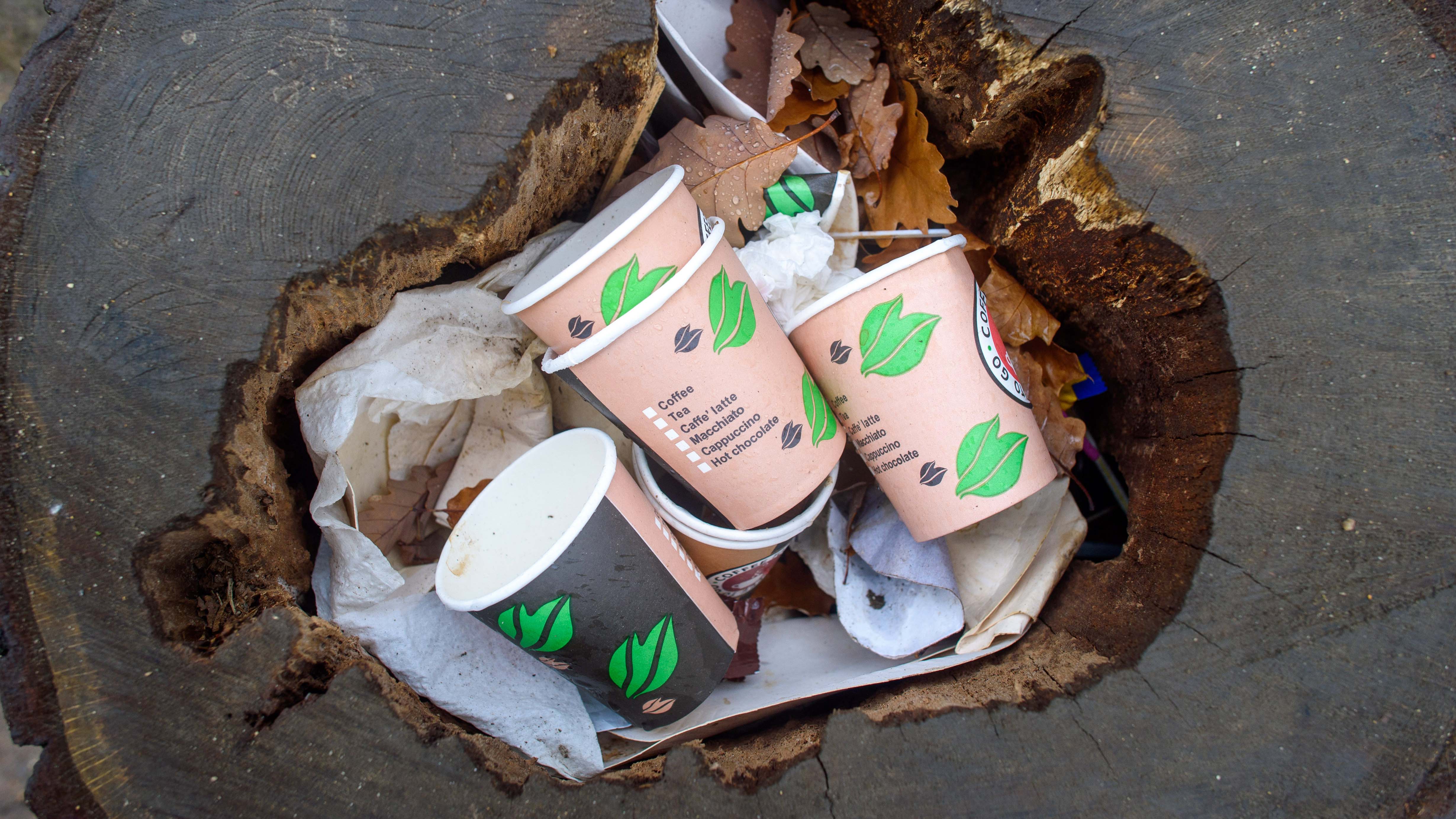 ARCHIV - 17.11.2020, Sachsen-Anhalt, Thale: Kaffeebecher, die zum Mitnehmen angeboten werden, liegen auf dem Hexentanzplatz weggeworfen, in einem hohlen Stamm eines gef&auml;llten Baumes. In Sachsen-Anhalt wird es einen neuen Bu&szlig;geldkatalog gegen die illegale M&uuml;llentsorgung geben. (zu dpa &laquo;Land f&uuml;hrt Bu&szlig;geldkatalog f&uuml;r illegale M&uuml;llentsorgung ein&raquo;) Foto: Klaus-Dietmar Gabbert/dpa-Zentralbild/dpa +++ dpa-Bildfunk +++