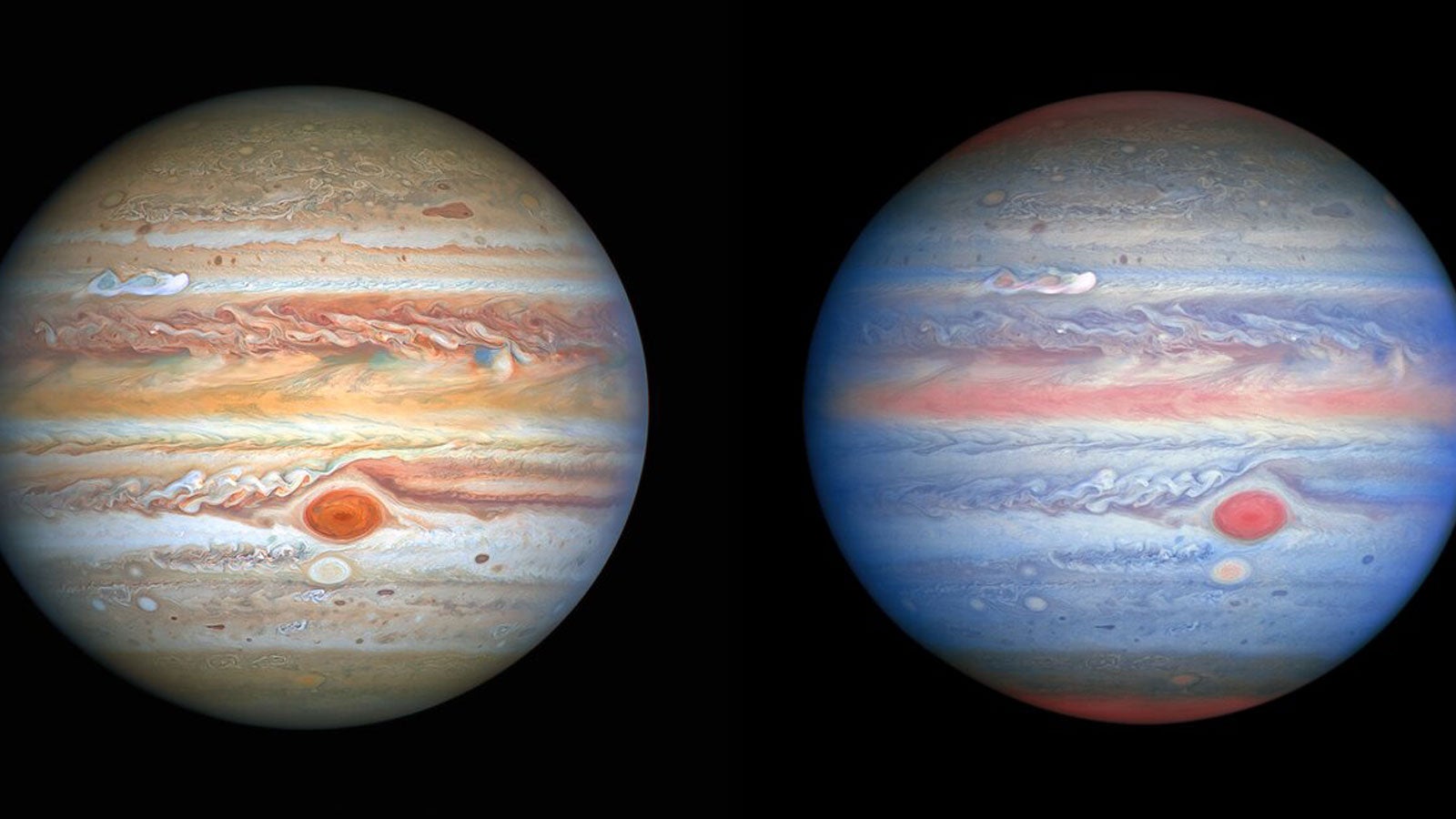Hubble hat am 25. August 2020 auch eine neue Mehrwellenl&auml;ngenbeobachtung im ultravioletten/sichtbaren/nahen Infrarotlicht des Jupiter aufgenommen, die den Forschern eine v&ouml;llig neue Sicht auf den Riesenplaneten erm&ouml;glicht. ; NASA, ESA, A. Simon (Goddard Space Flight Center), and M. H. Wong (University of California, Berkeley) and the OPAL team.