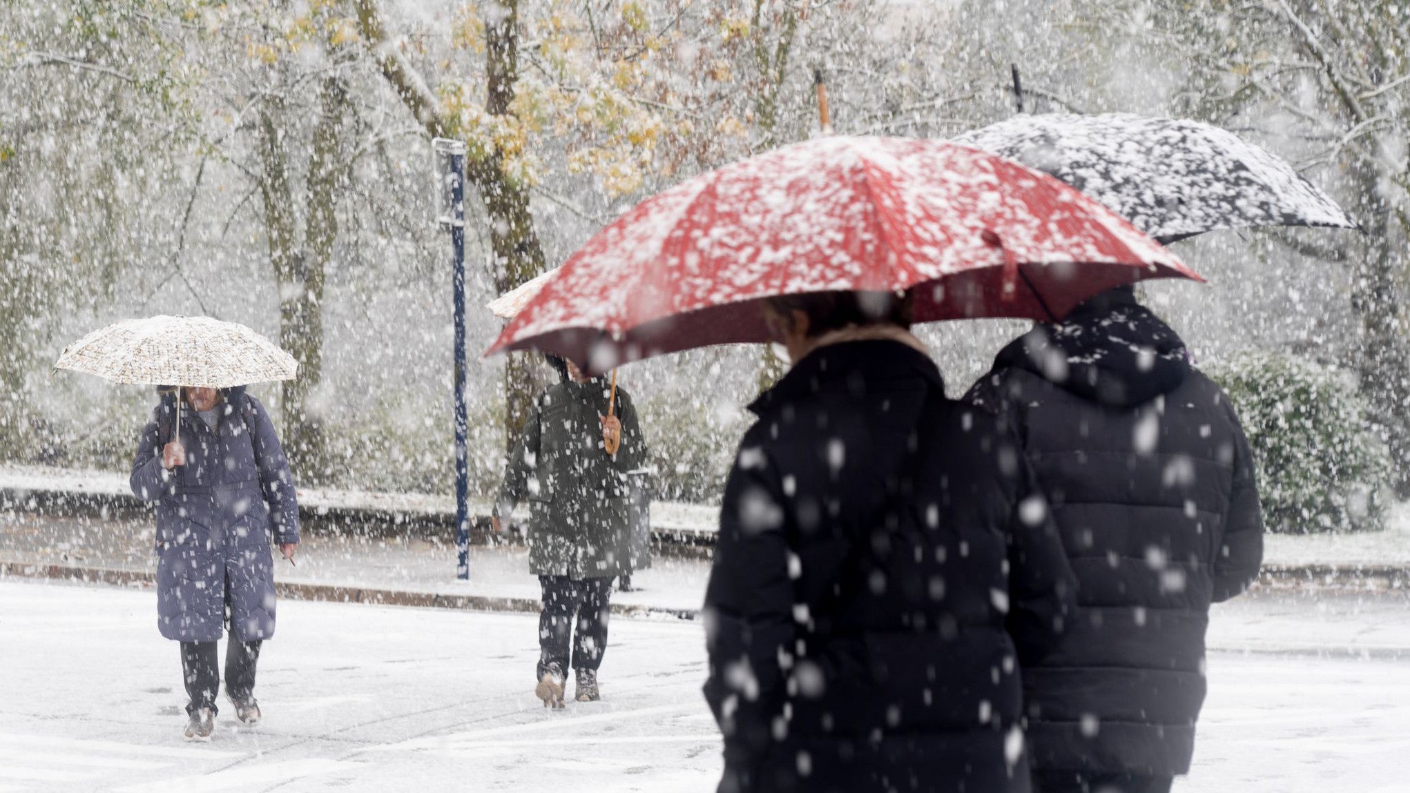 21.11.2025, Spanien, Vitoria: Spazierg&auml;nger sind mit schneebedeckten Schirmen unterwegs. Arktische Luftmassen sind im Baskenland angekommen. (I&ntilde;aki Berasaluce/EUROPA PRESS/dpa)