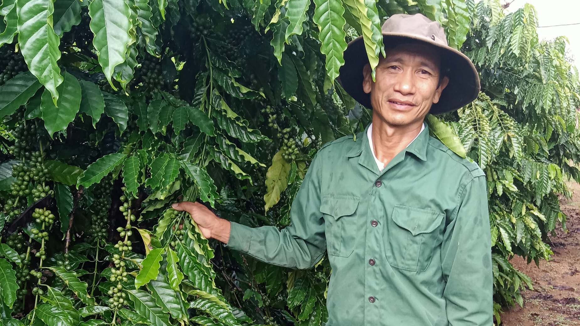 PRODUKTION - 30.08.2022, Vietnam, Pleiku: Nguyen Van Thien, Landwirt, steht auf seiner Kaffeeplantage. Der Klimawandel ist auch in dem Land am Mekong l&permil;ngst pr&permil;sent, und die so wichtigen Regenf&permil;lle in der Monsunzeit kommen immer unregelm&permil;ﬂiger oder bleiben ganz aus. Die Folge: Die Kaffee-Exporte, die zu einem groﬂen Teil f&cedil;r den europ&permil;ischen Markt bestimmt sind, gehen von Jahr zu Jahr zur&cedil;ck. (zu dpa &acute;Wie robust ist Robusta? - Klimawandel bedroht Vietnams Kaffeebauern&ordf;) Foto: Van Pham/dpa +++ dpa-Bildfunk +++