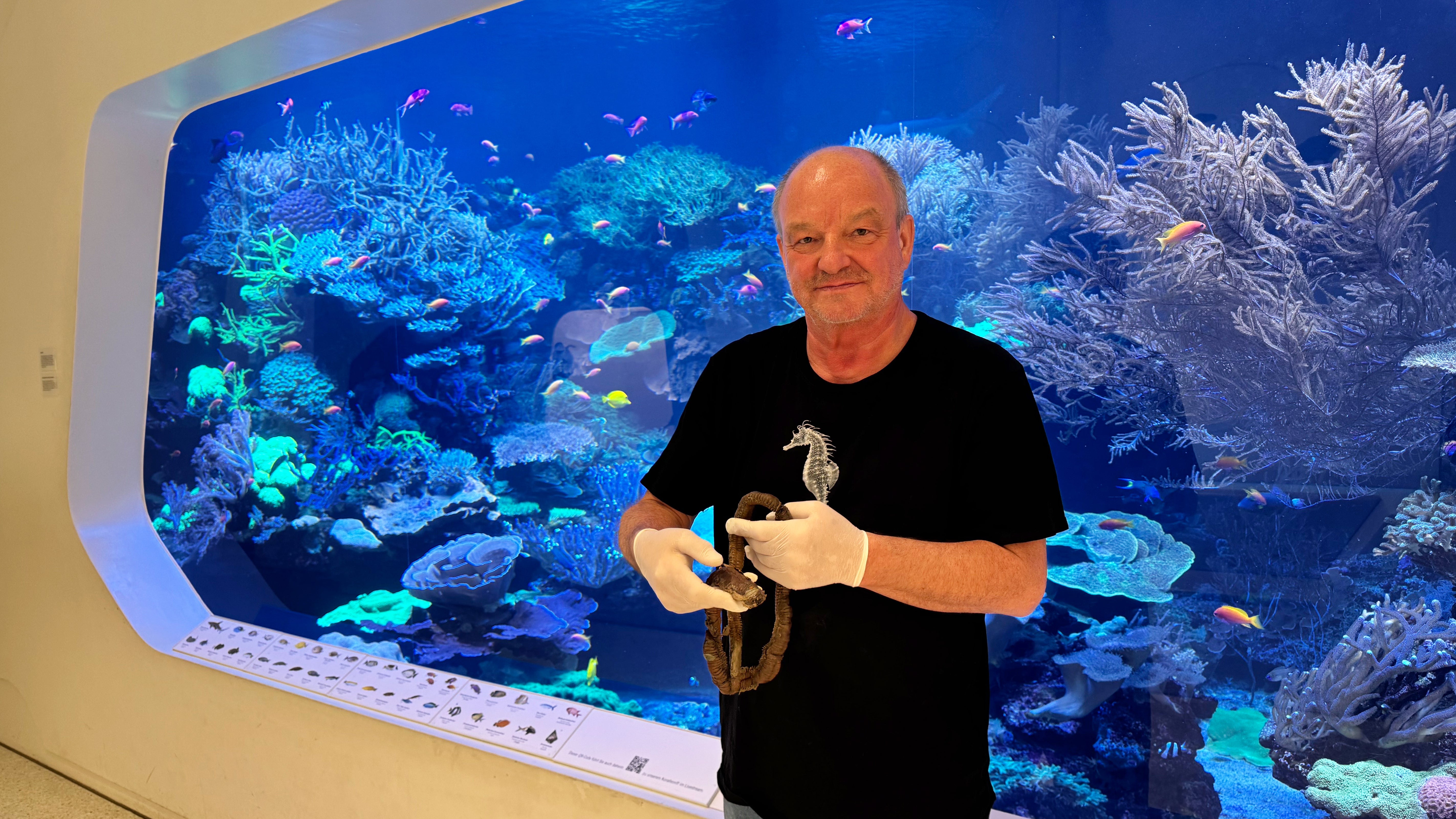 03.04.2025, Baden-W&uuml;rttemberg, Karlsruhe: Johann Kirchhauser, Leiter des Vivariums im Naturkundemuseum Karlsruhe, h&auml;lt den toten Borstenwurm im Naturkundemuseum in den H&auml;nden. (Marco Busselmaier/dpa)
