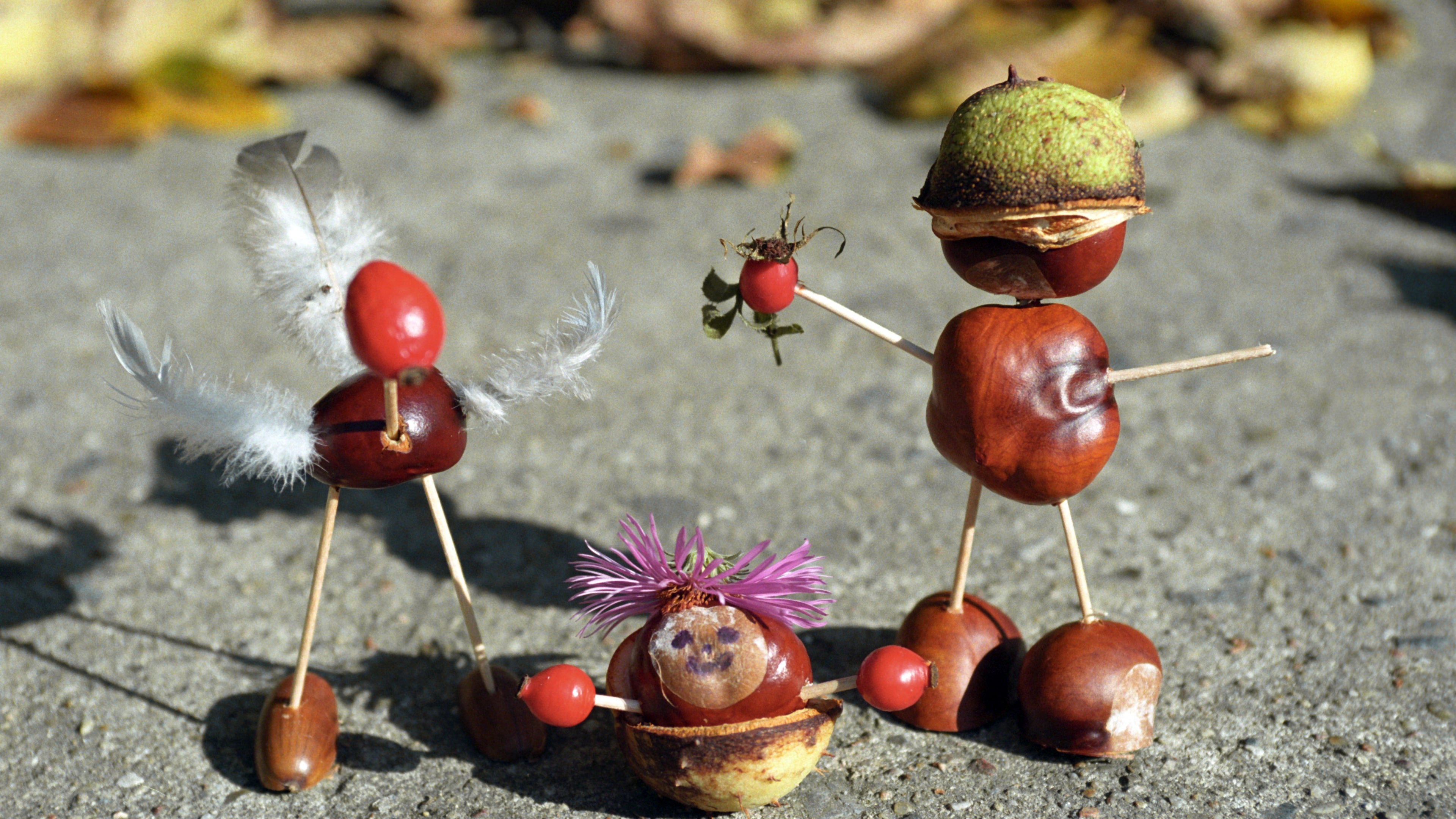 Kastanien-M&auml;nnchen und -tiere. Ein paar Kastanien, Streichh&ouml;lzer und Federn: Schon sind die Kastanien-M&auml;nnchen fertig. (Jens Kalaene/dpa-Zentralbild/dpa)