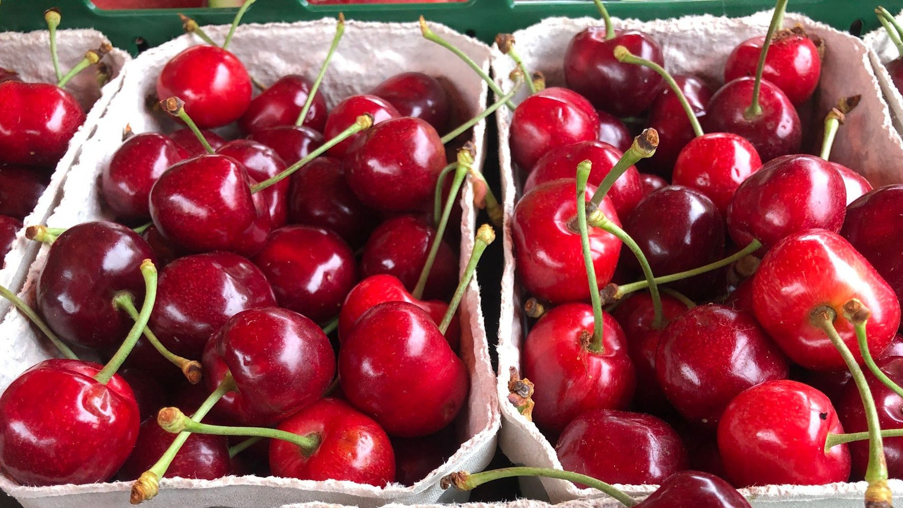 27.05.2025, Baden-W&uuml;rttemberg, Kehl: An einem Marktstand stehen Schalen mit Kirschen. (Christian B&ouml;hmer/dpa)