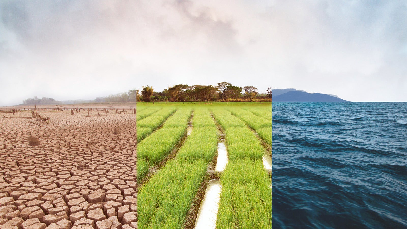 Climate change, compare image with Drought, Green field and Ocean metaphor Nature disaster, World climate and Environment, Ecology system.