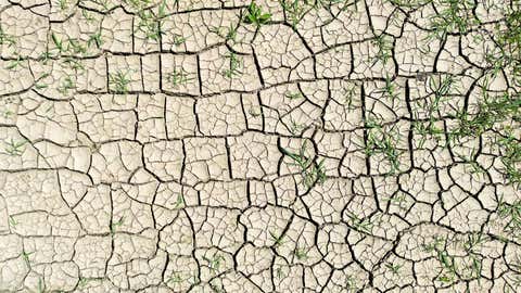 21.06.2022, Österreich, St. Leonhard Am Forst: Ein ausgetrocknetes Feld. Foto: Helmut Fohringer/APA/dpa +++ dpa-Bildfunk +++