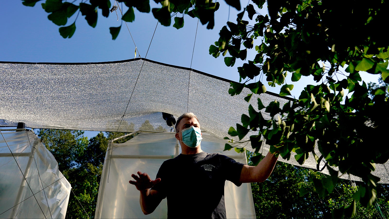 CORRECTS TO SMITHSONIAN ENVIRONMENTAL RESEARCH CENTER, NOT SMITHSONIAN RESEARCH CENTER - Rich Barclay, Smithsonian research geologist and Director of the Fossil Atmospheres Project, stands near a ginkgo tree at the Smithsonian Environmental Research Center in Edgewater, Md., Tuesday, May 18, 2021. The Smithsonian is using the ginkgo to study climate change. (AP Photo/Carolyn Kaster)