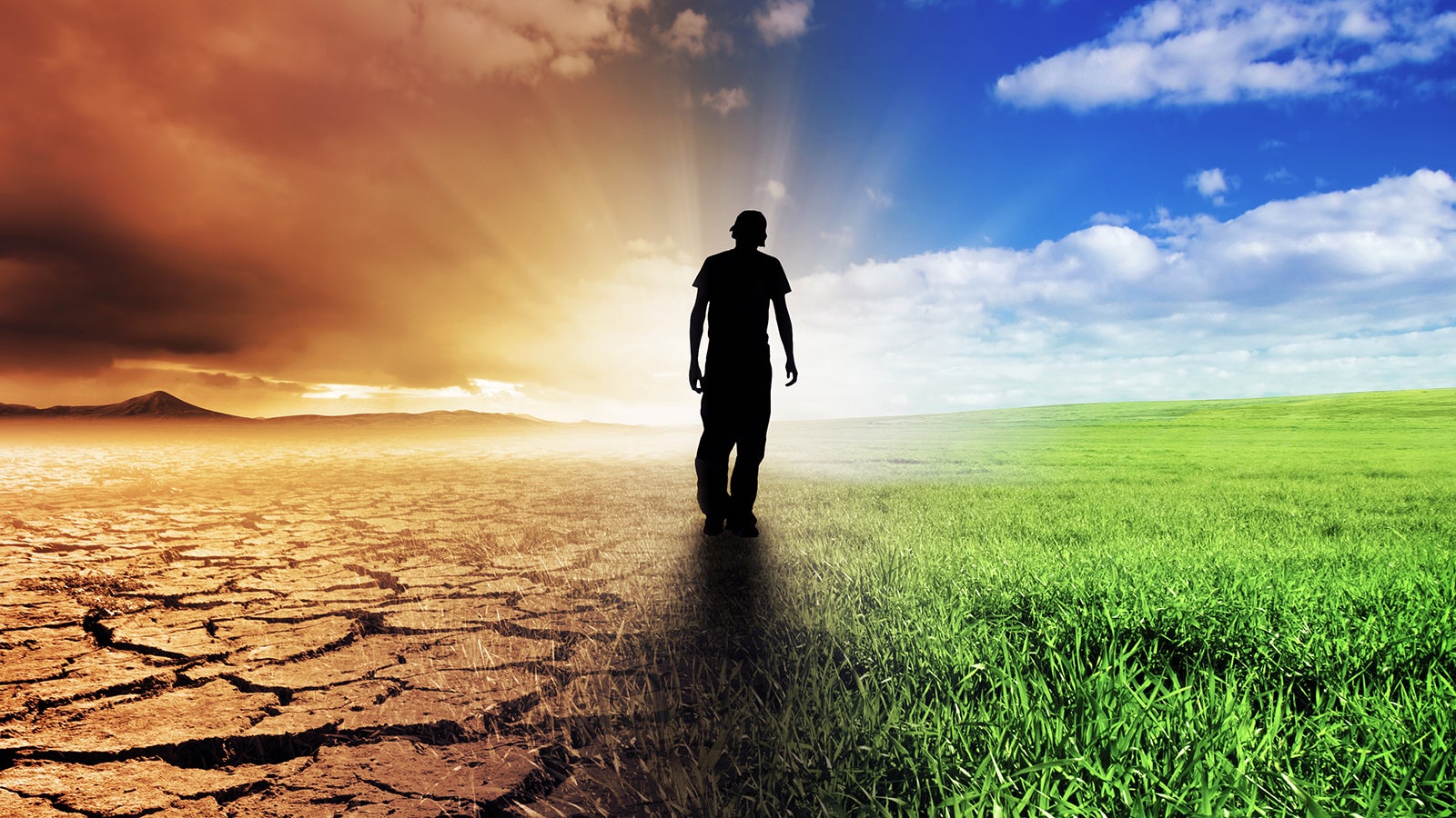 A Climate Change Concept Image