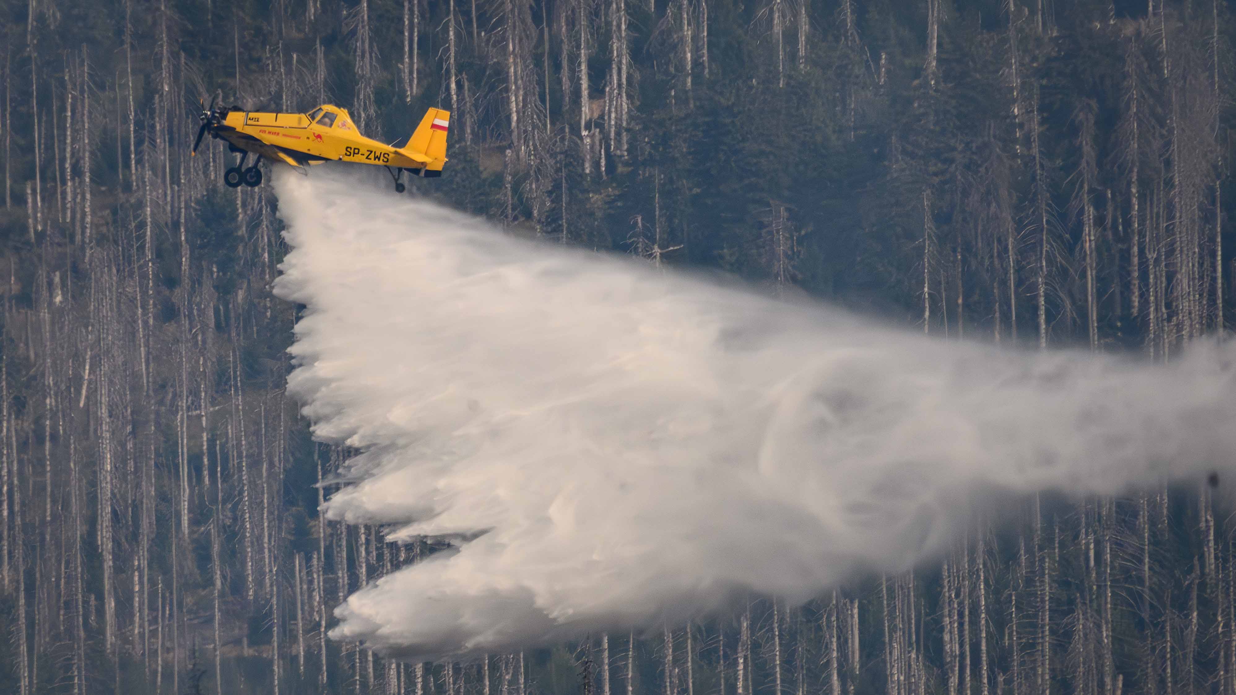 Luftaufnahme eines Waldbrands am Harz, unterhalb des Brockens nahe Goslar/Harz, Niedersachsen. Im Vordergrund &uuml;ber dichtem Mischwald fliegt ein graues L&ouml;schflugzeug des Typs Canadair oder &auml;hnliches, das Wasser abwirft, um das Feuer einzud&auml;mmen. In der Ferne steigen Rauchschwaden &uuml;ber kahlem, dunklem Ge&auml;st auf, der Boden wirkt durch die Hitze blattlos und schwarz verkohlt. Der Himmel ist diesig und orange vom Rauch. Aufnahme vom 8. September 2024.