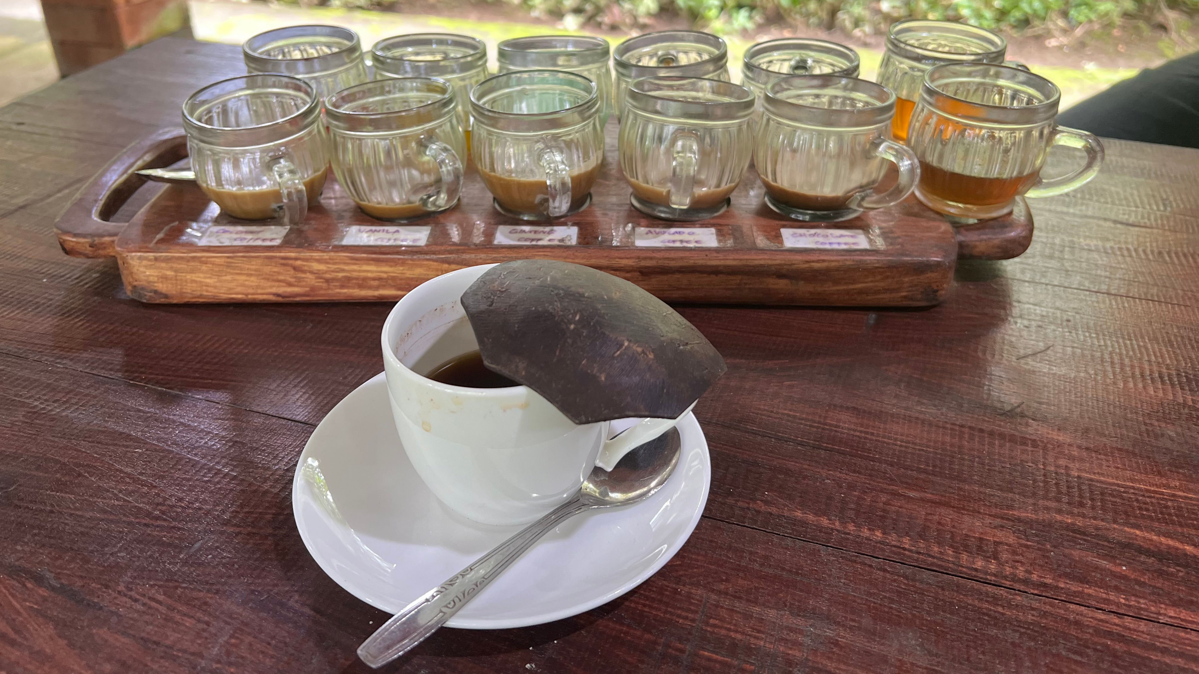 Indonesien, Ubud: In einem Kaffeegarten auf Bali k&ouml;nnen Touristen verschiedene Kaffee- und Teesorten probieren, darunter auch Luwak Coffee, wie hier in der wei&szlig;en Tasse. (Carola Frentzen/dpa)
