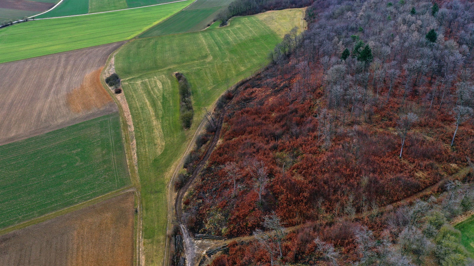 Das N&ouml;rdlinger Ries ist f&uuml;r Astronauten interessant; 06.03.2020, Bayern, M?nchsdeggingen: Blick auf den s?dlichen bewaldeten Rand des Meteoritenkraters N?rdlinger Ries (Luftaufnahme mit einer Drohne). Wissenschaftler haben Proben aus der Gegend analysiert, um dadurch Daten f?r eine Mars-Mission der NASA zu bekommen (zu dpa-KORR: "Bayerisches Gestein soll bei Suche nach Leben auf dem Mars helfen" vom 07.03.2020). Foto: Karl-Josef Hildenbrand/dpa +++ dpa-Bildfunk +++