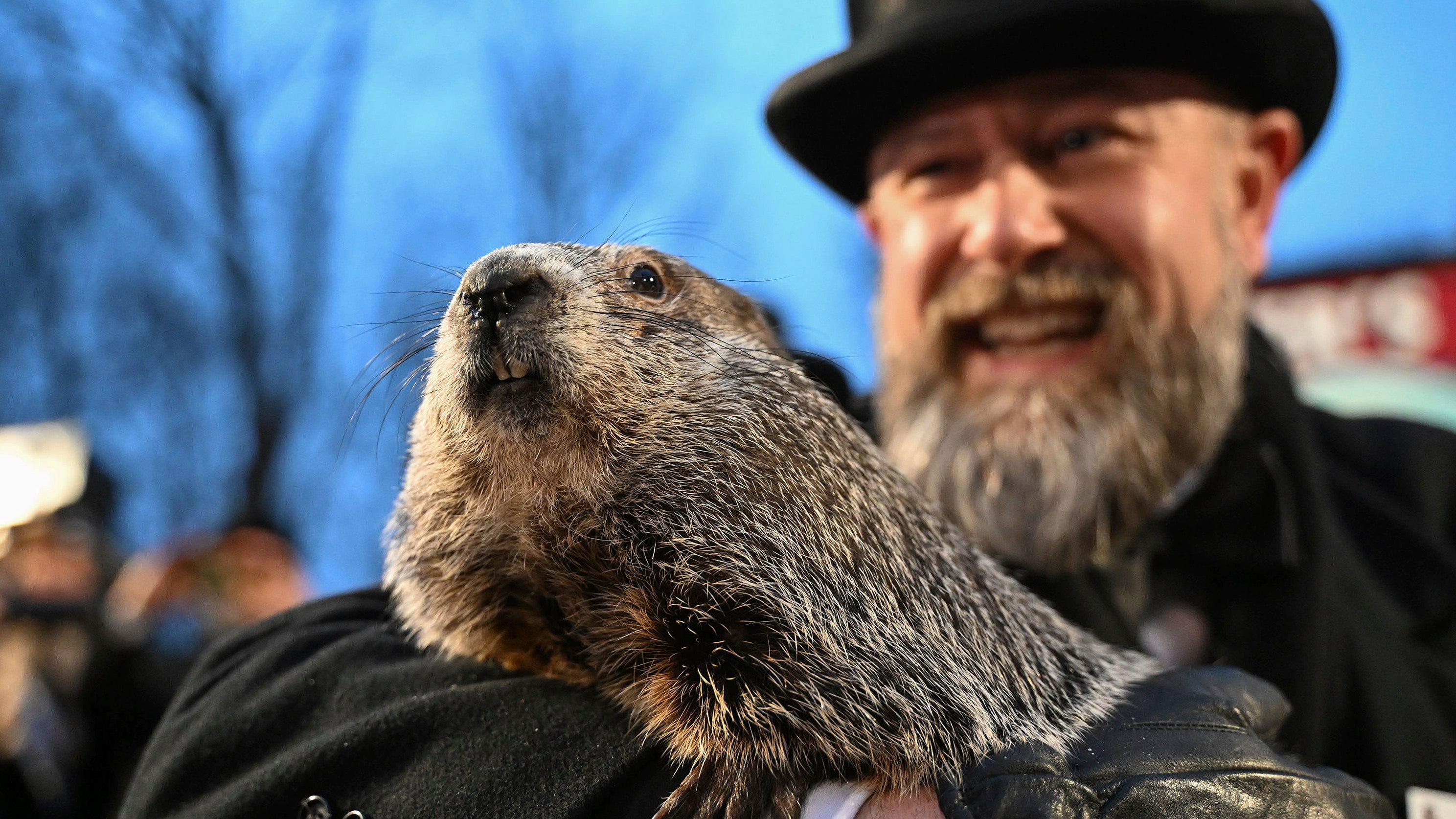 Der Murmeltierbetreuer A.J. Dereume h&auml;lt Phil, das wettervorhersagende Murmeltier, w&auml;hrend der 138. Feier des Murmeltiertags am Freitag, dem 2. Februar 2024, in Gobbler's Knob in Punxsutawney, Pennsylvania. (AP Photo/Barry Reeger)