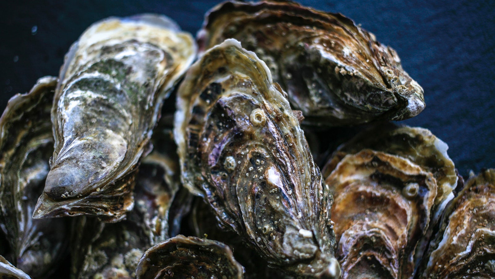 Fresh closed oysters on black background top view