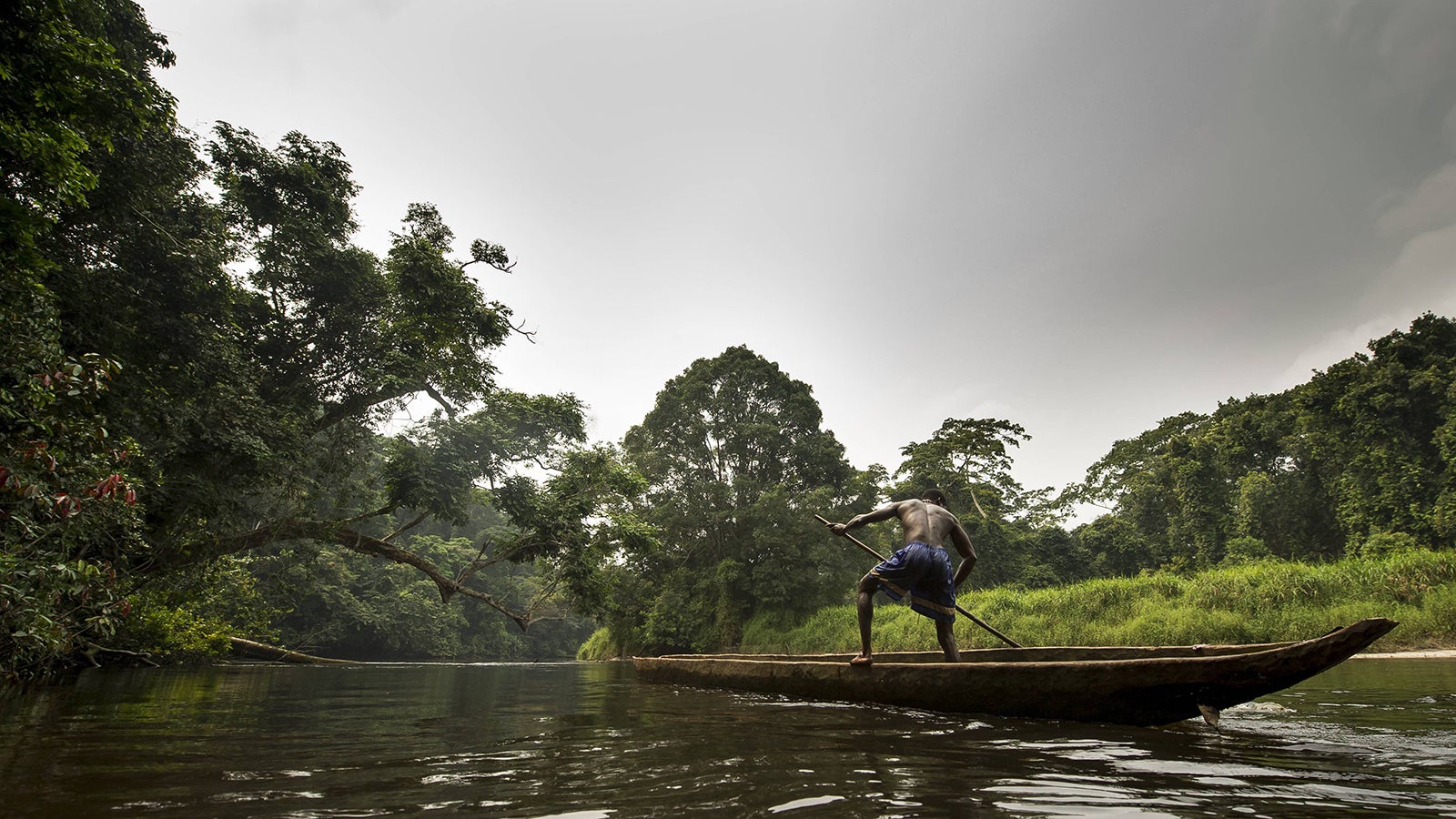 Fisherman on river, Salonga National Park, Democratic Republic of Congo. September 2009. PUBLICATIONxINxGERxSUIxAUTxONLY 1503904 TheoxWebbFisherman ON River Salonga National Park Democratic Republic of Congo September 2009 PUBLICATIONxINxGERxSUIxAUTxONLY 1503904 TheoxWebb